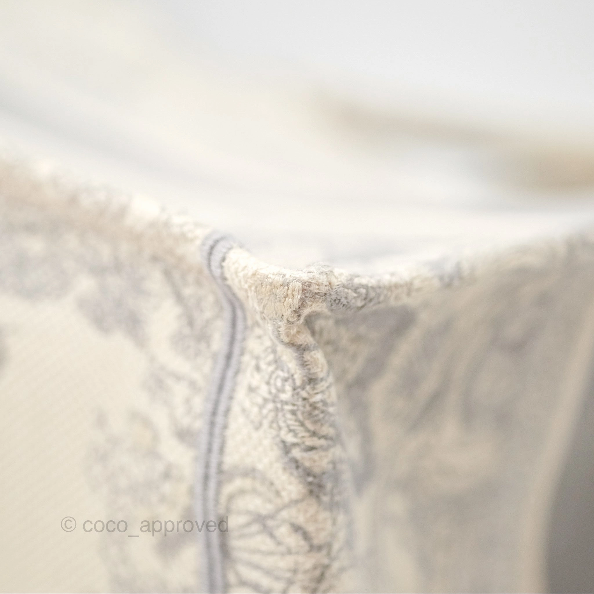 Dior Medium (Old Small) Embroidered Toile De Jouy Book Tote Light Grey Canvas