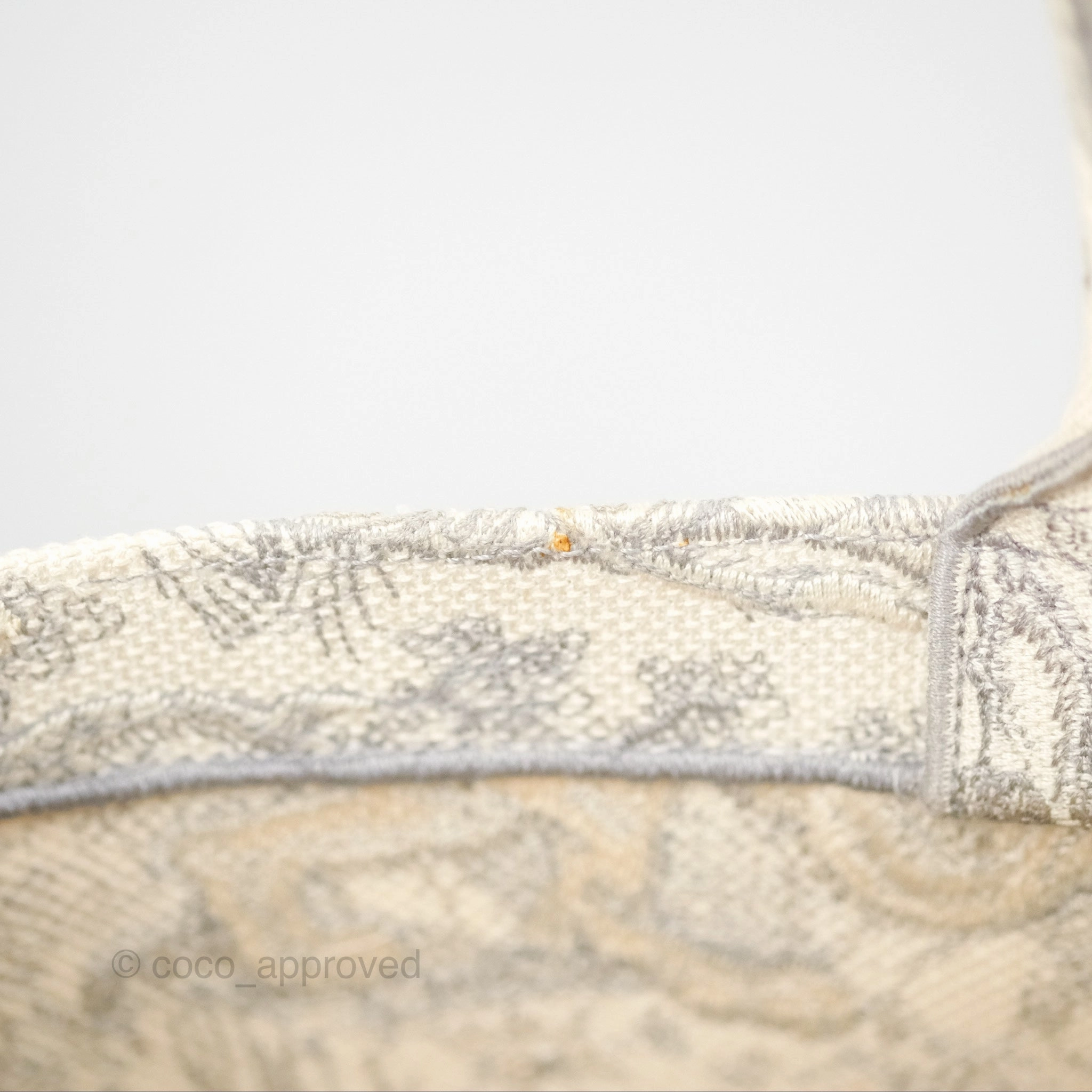 Dior Medium (Old Small) Embroidered Toile De Jouy Book Tote Light Grey Canvas