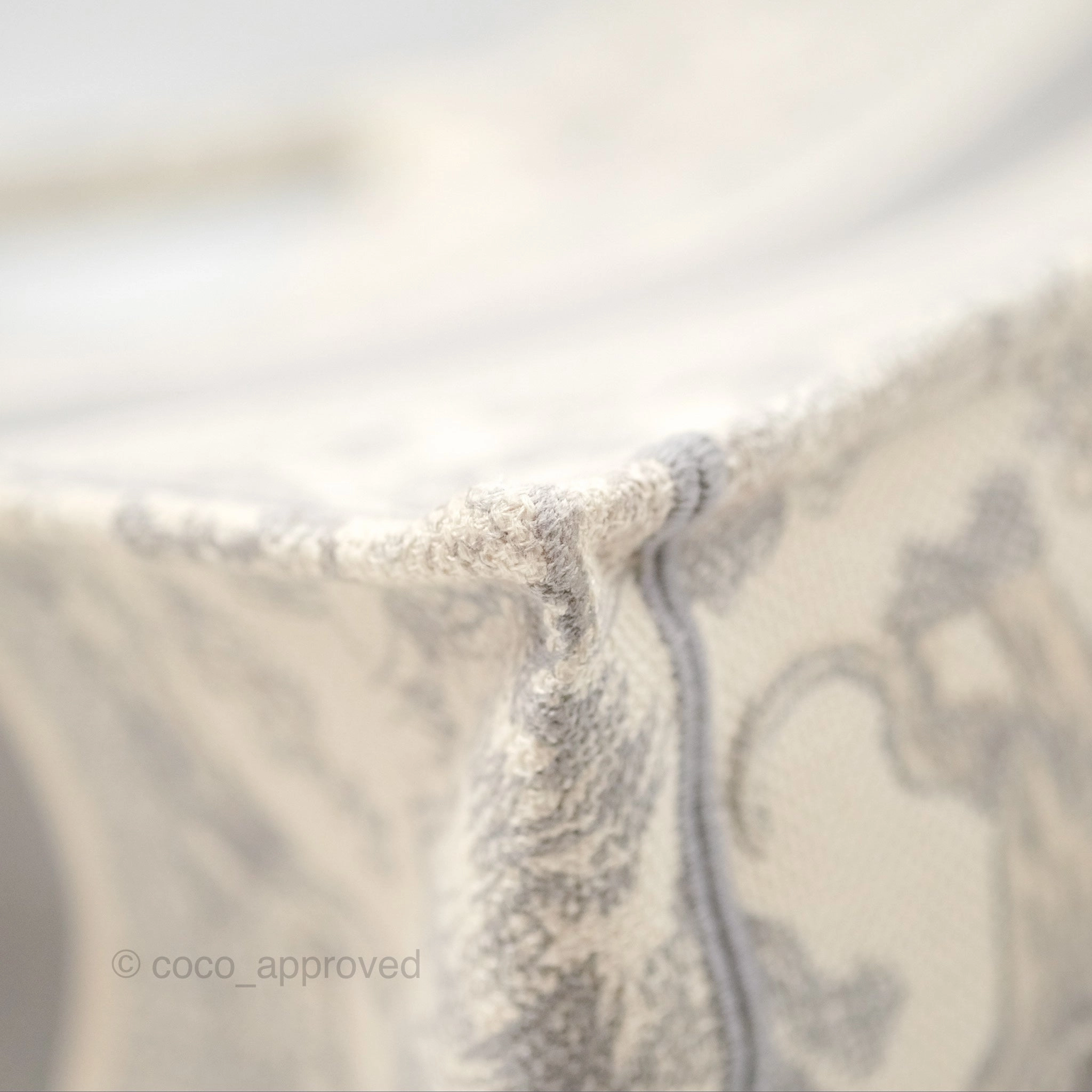 Dior Medium (Old Small) Embroidered Toile De Jouy Book Tote Light Grey Canvas