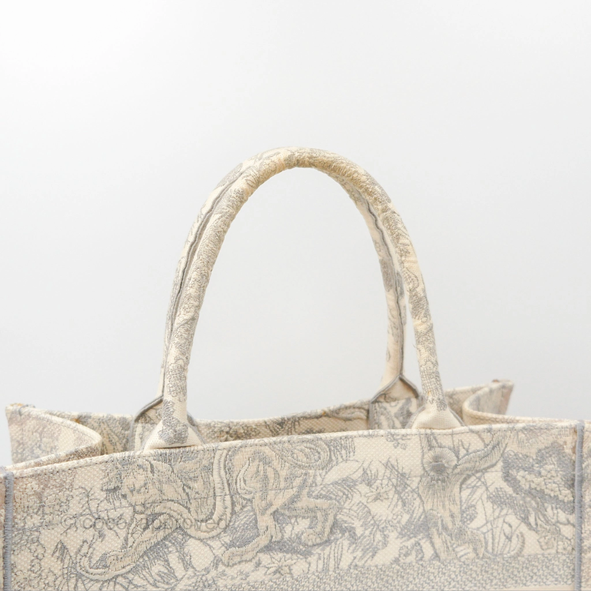 Dior Medium (Old Small) Embroidered Toile De Jouy Book Tote Light Grey Canvas