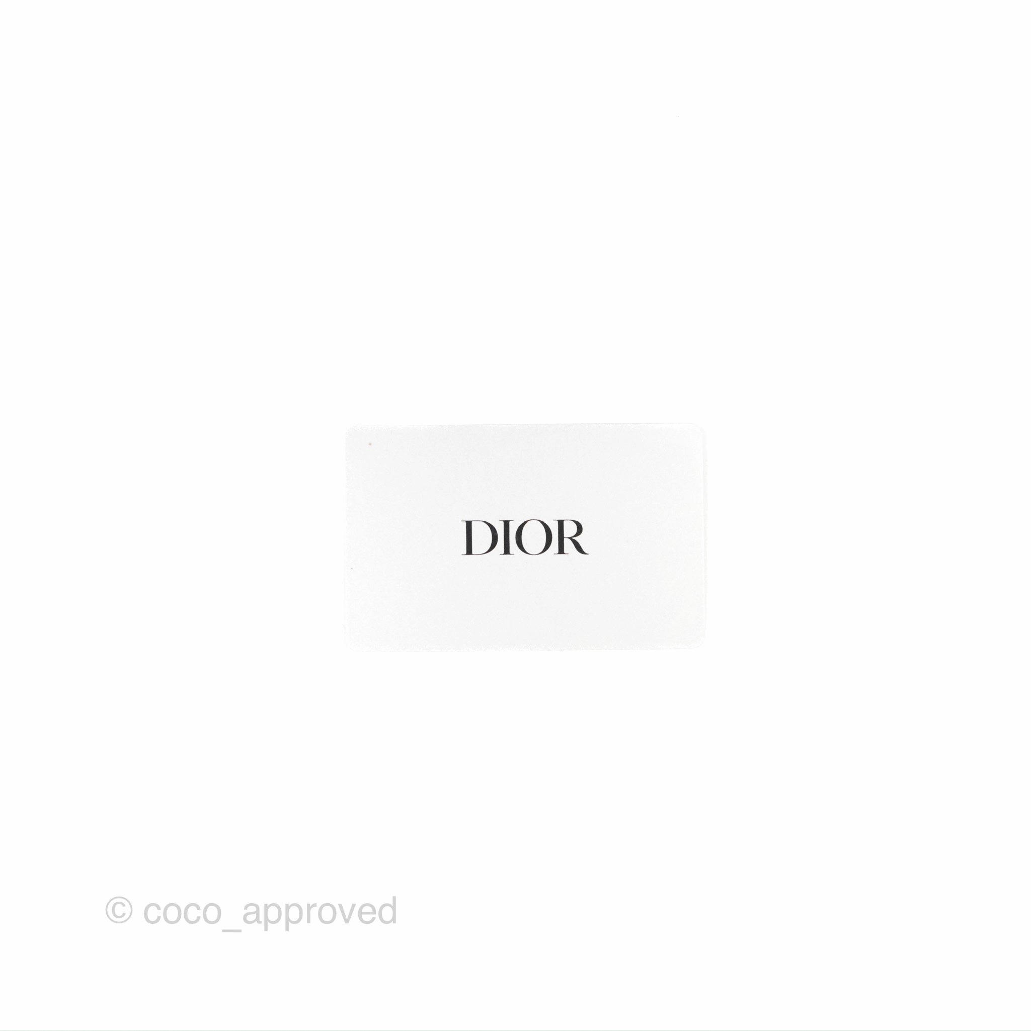 Dior Small Bobby Bag White Box Calfskin