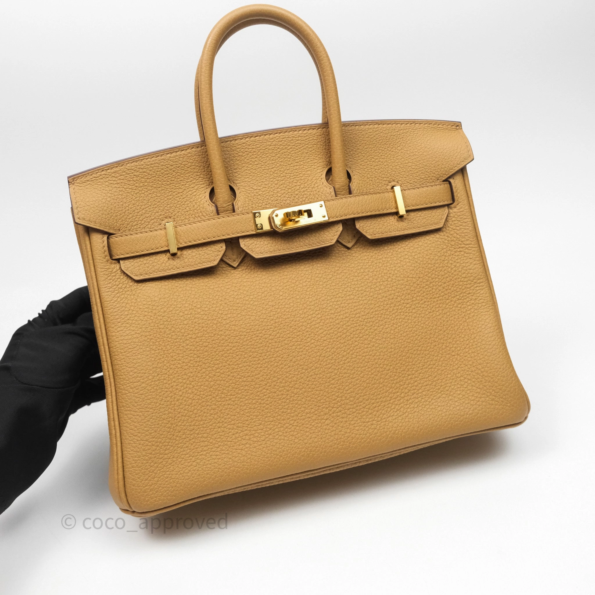 Herms Birkin 25 Retourne Biscuit 4B Togo Gold Hardware