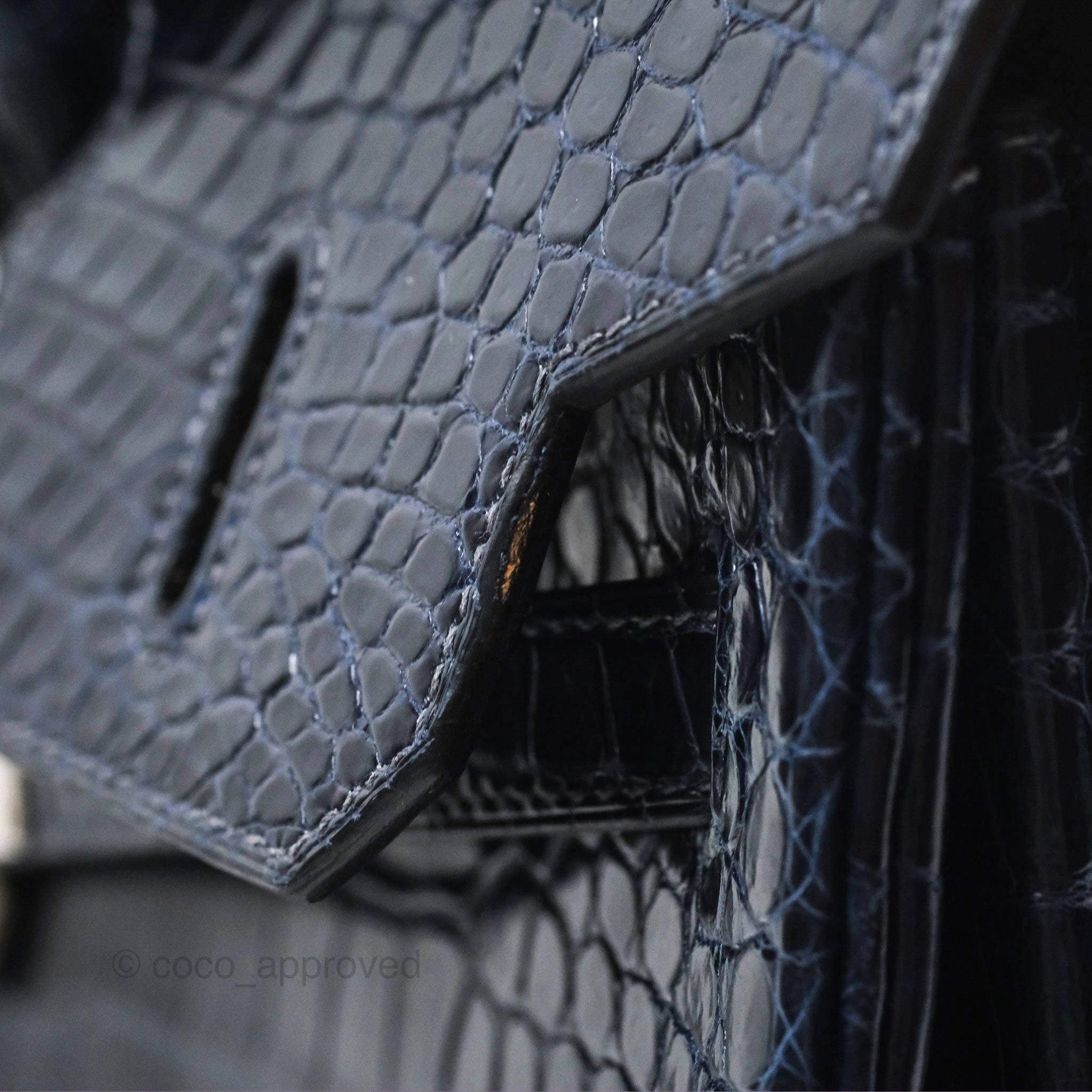 Herms Birkin 35 Porosus Marine 78 Palladium Hardware
