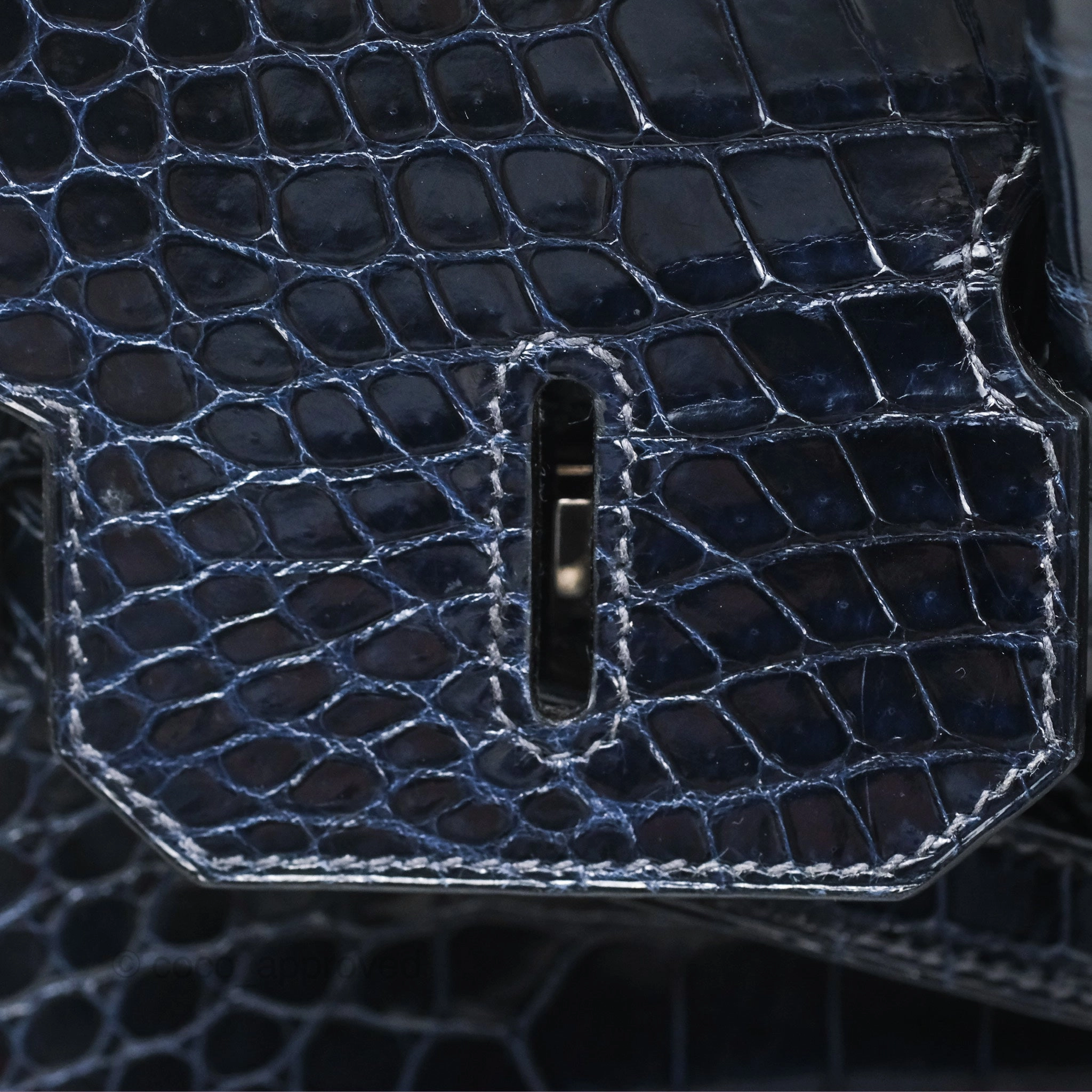 Herms Birkin 35 Porosus Marine 78 Palladium Hardware