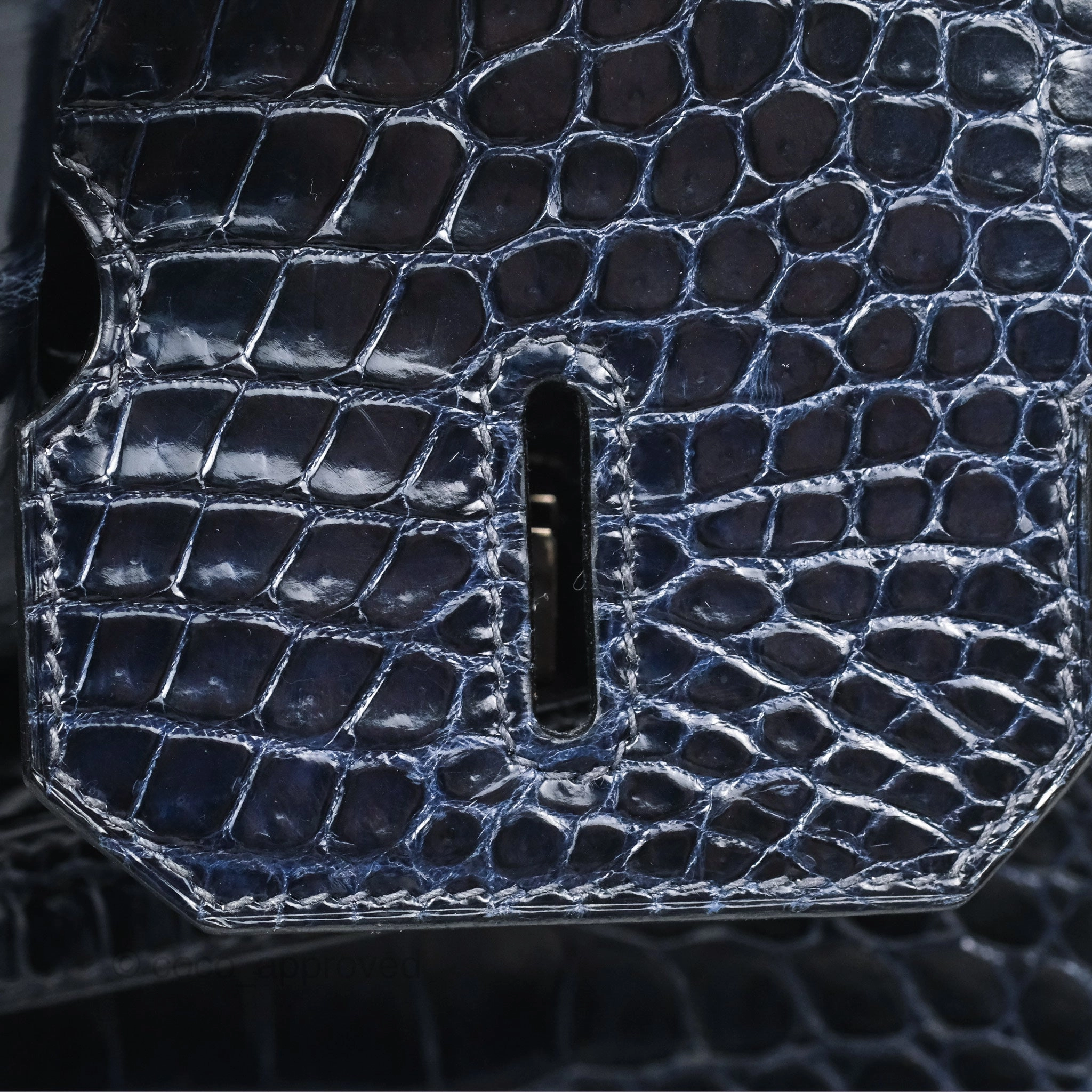 Herms Birkin 35 Porosus Marine 78 Palladium Hardware