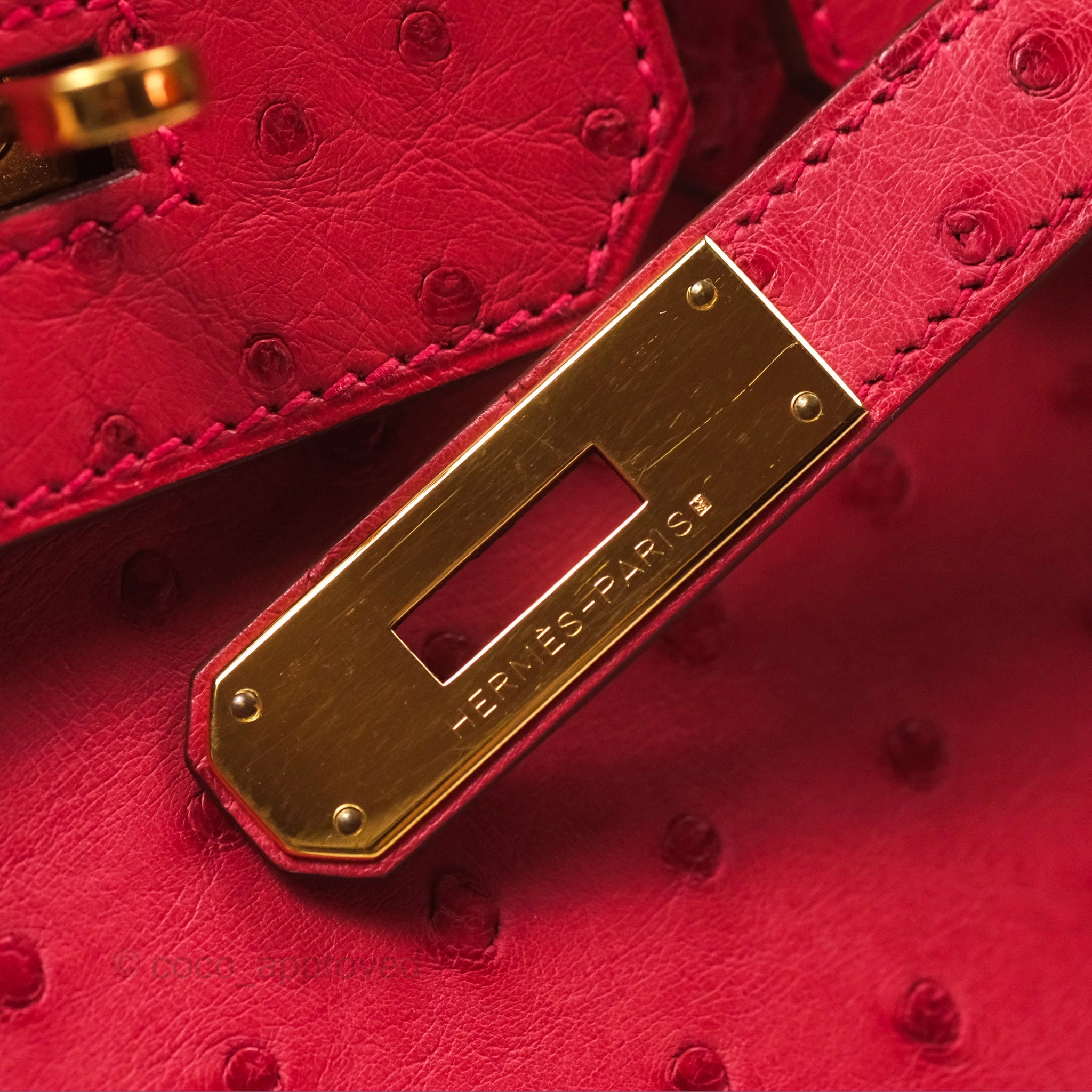 Herms Birkin Retourne 30 Bougainvillea Ostrich Gold Hardware