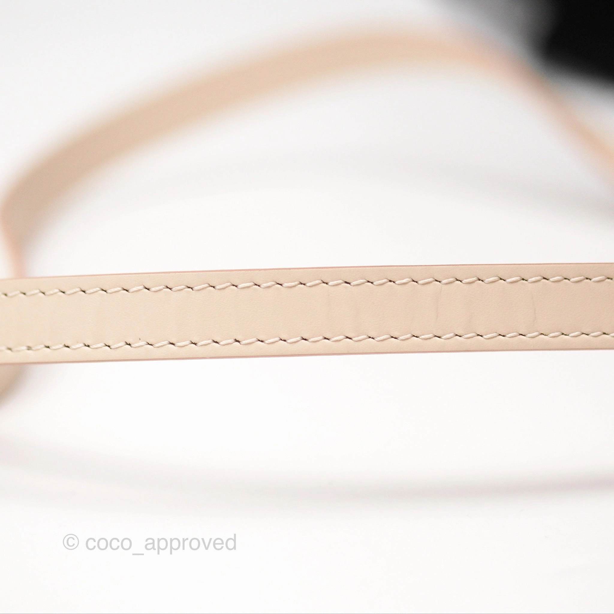 Louis Vuitton Alma Nano Quartz Silver Hardware