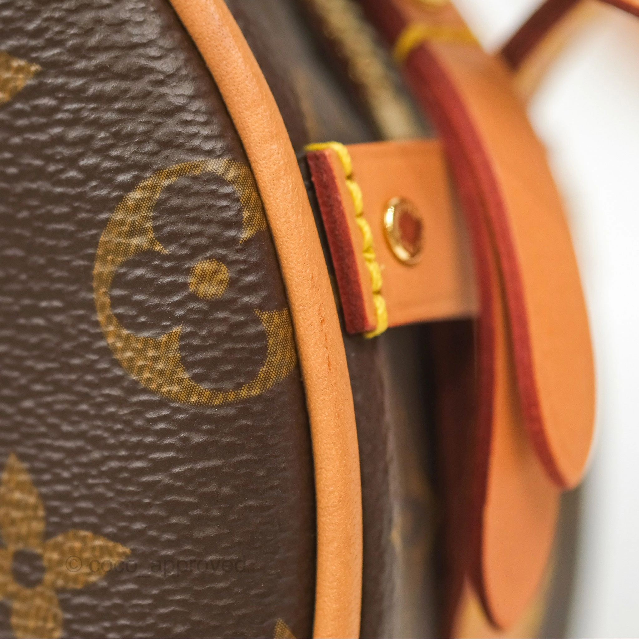 Louis Vuitton Boite Chapeau Souple Shoulder Bag PM Monogram