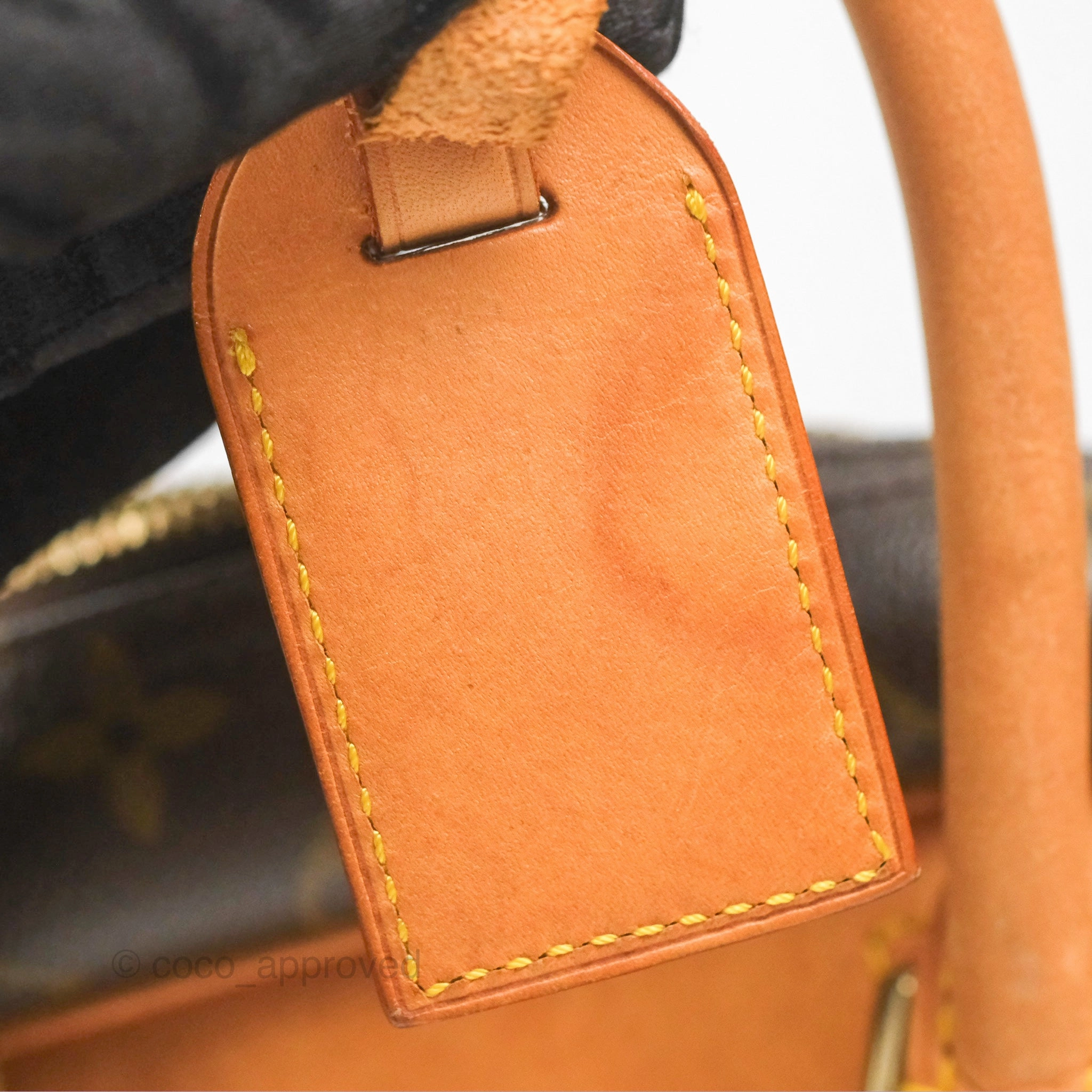 Louis Vuitton Deauville Bag Monogram Canvas