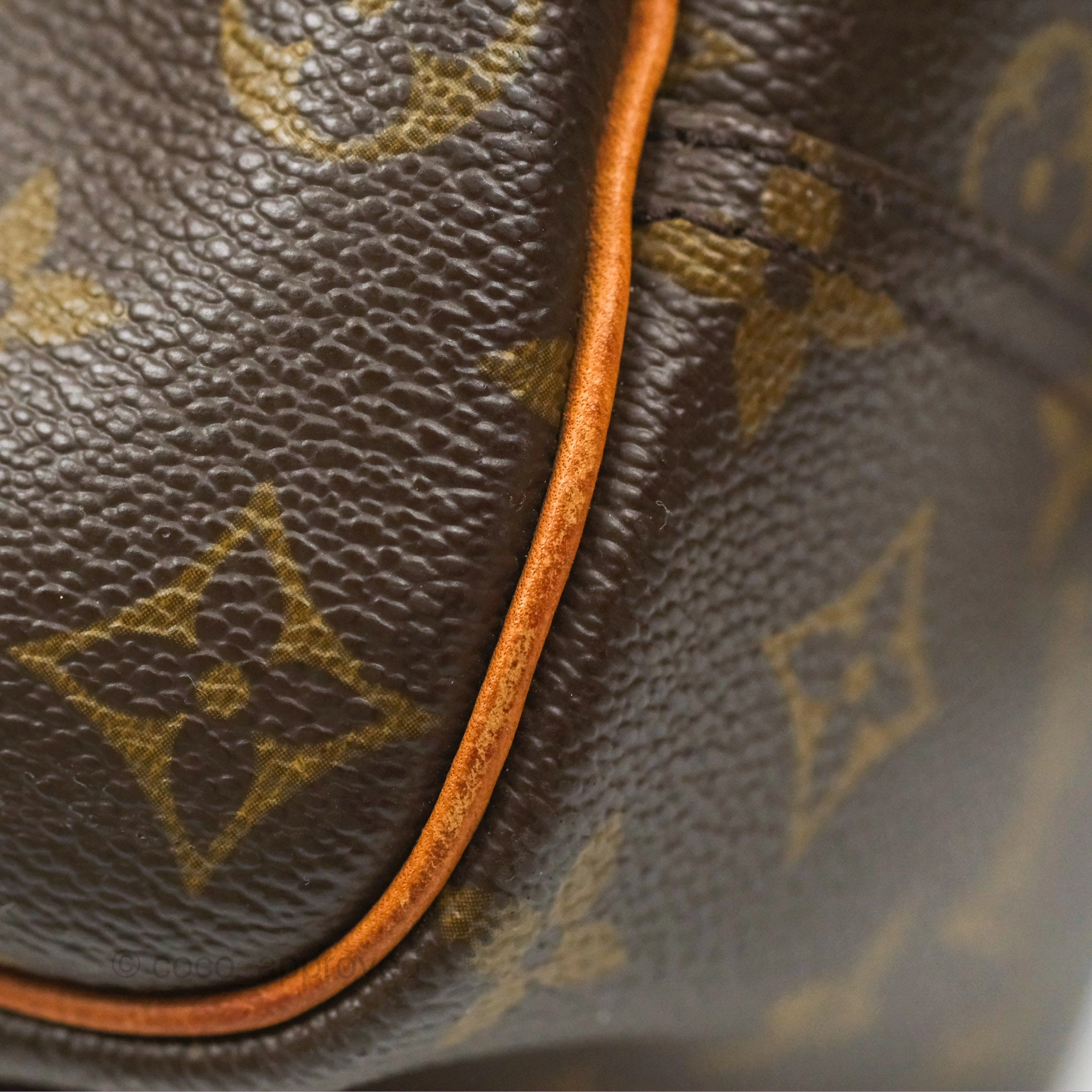 Louis Vuitton Deauville Bag Monogram Canvas