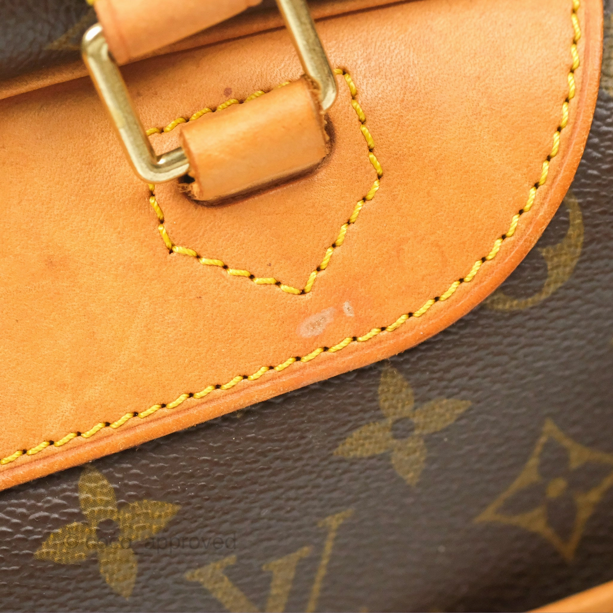 Louis Vuitton Deauville Bag Monogram Canvas