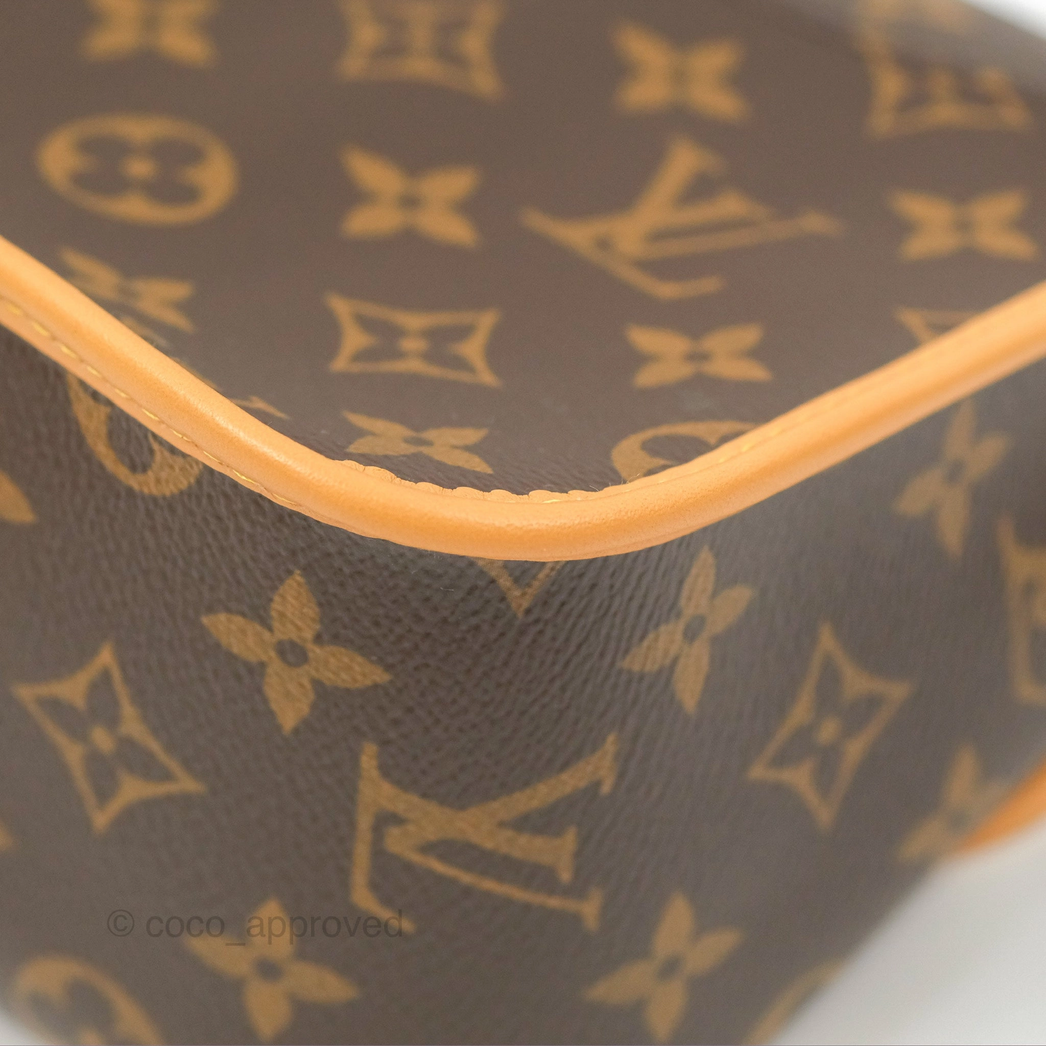 Louis Vuitton Diane Bag Monogram Canvas with Jacquard Strap