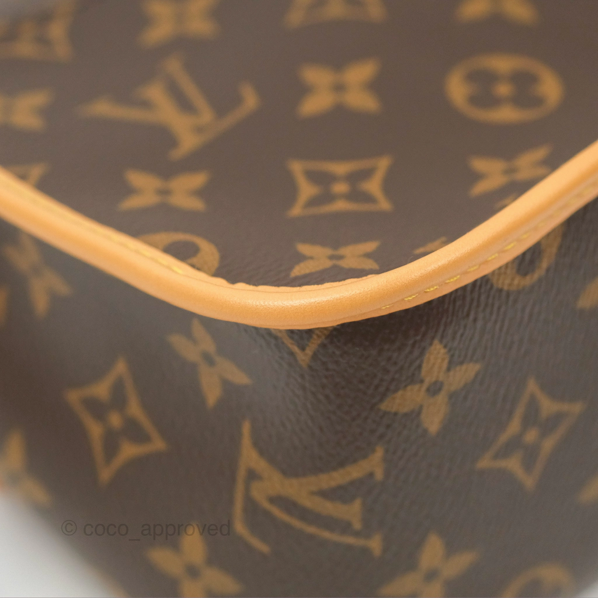 Louis Vuitton Diane Bag Monogram Canvas with Jacquard Strap