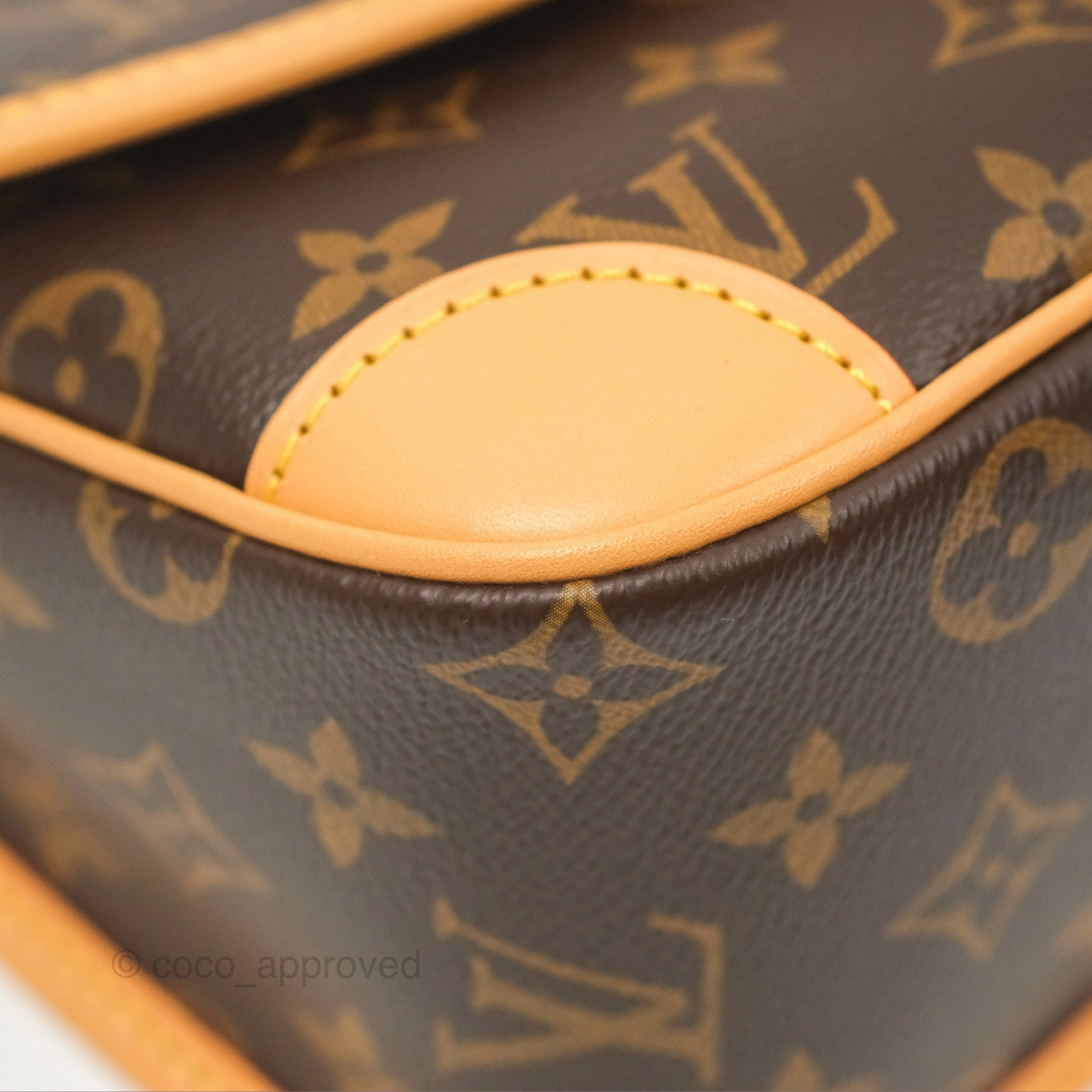 Louis Vuitton Diane Bag Monogram Canvas with Jacquard Strap