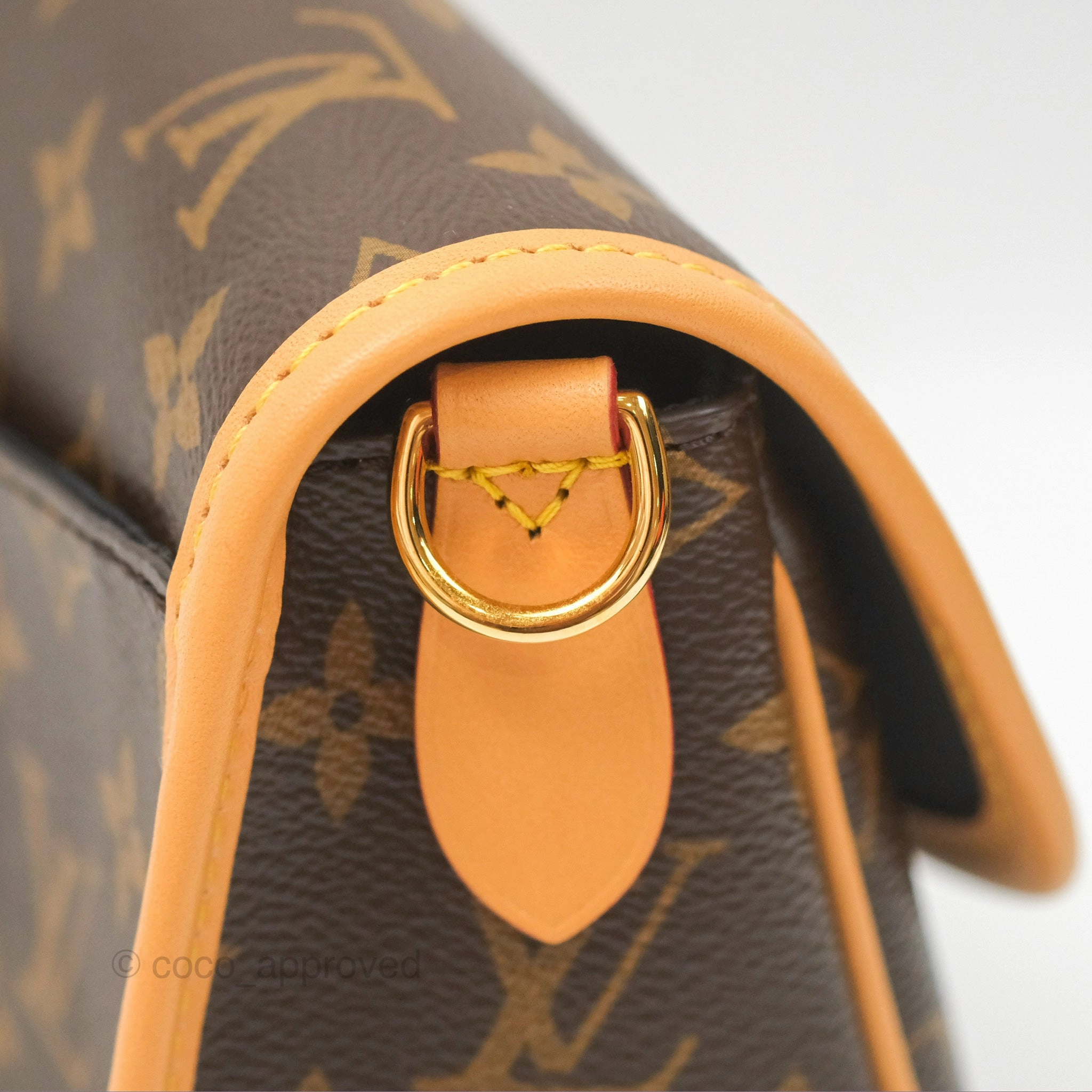Louis Vuitton Diane Bag Monogram Canvas with Jacquard Strap