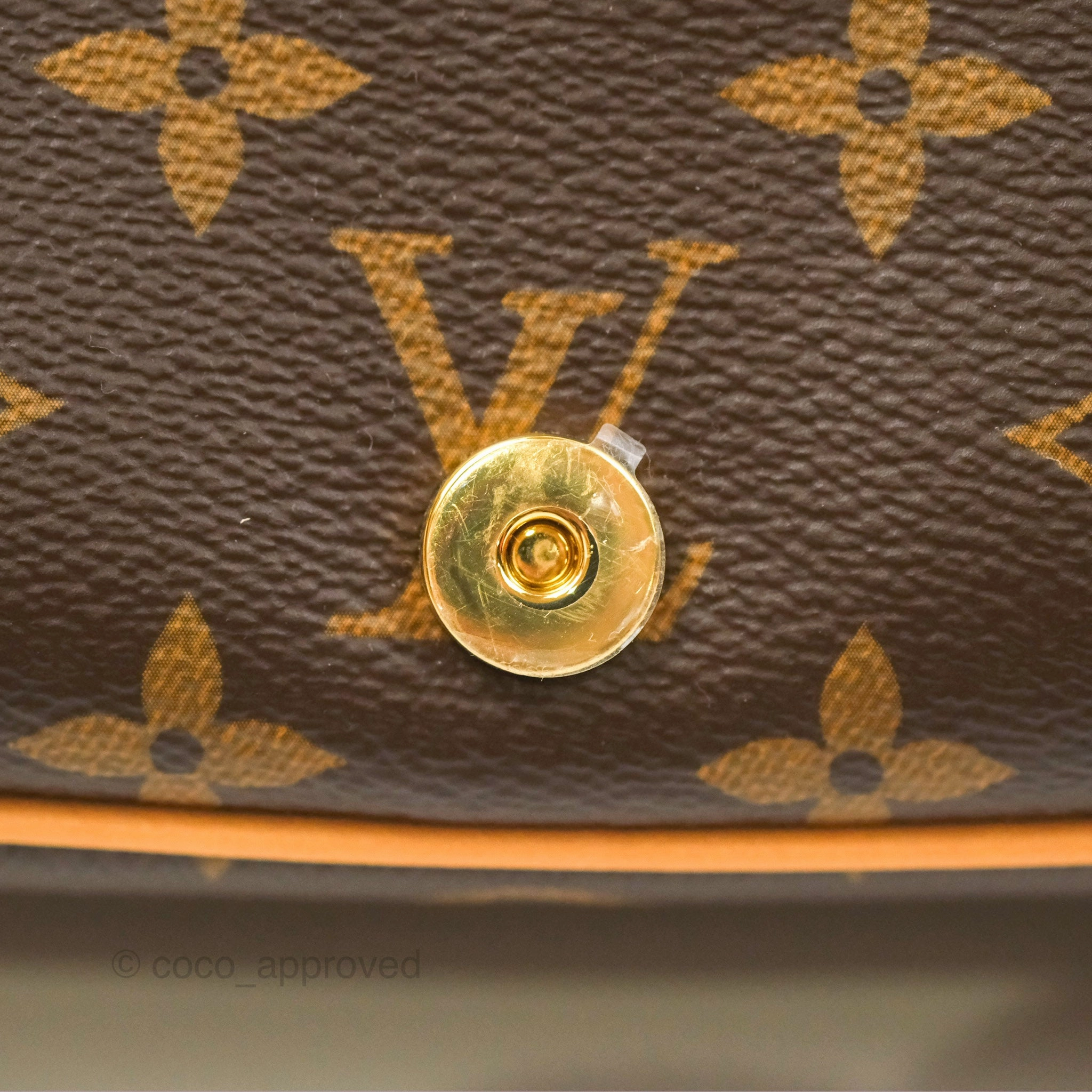 Louis Vuitton Diane Bag Monogram Canvas with Jacquard Strap