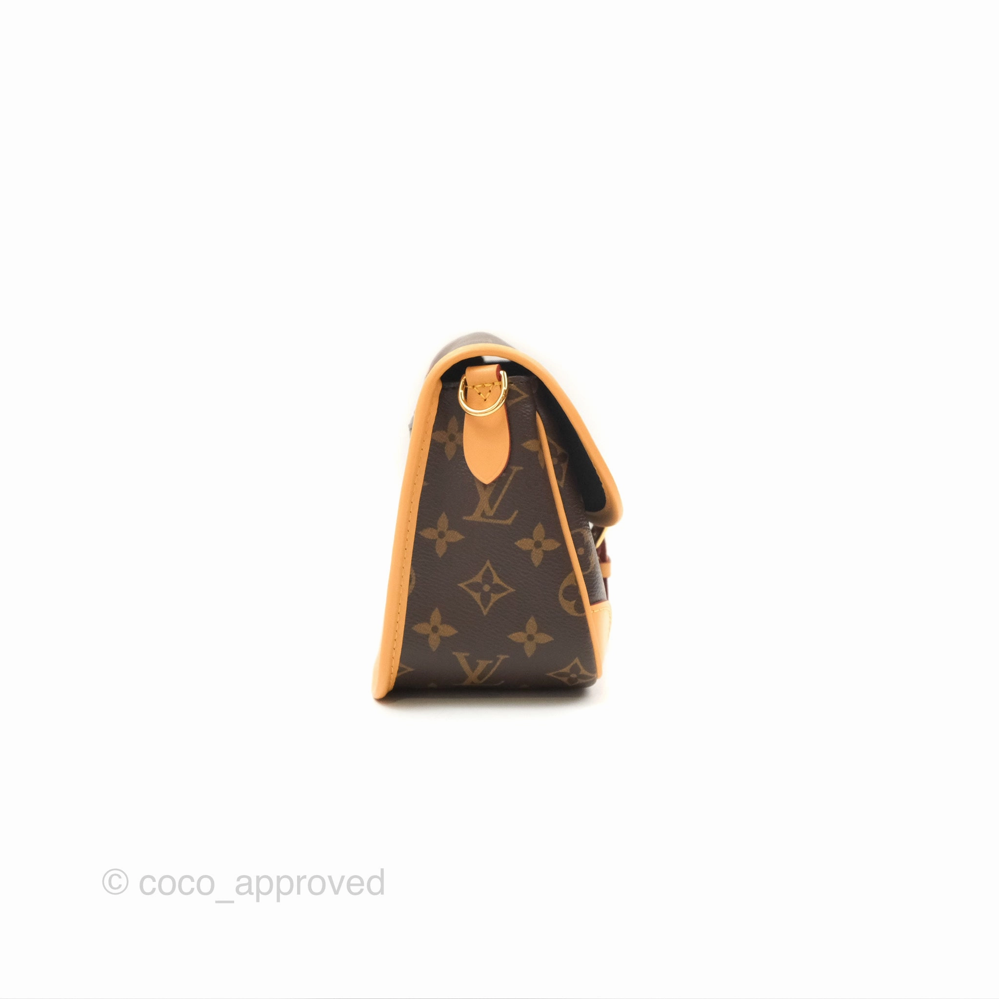 Louis Vuitton Diane Bag Monogram Canvas with Jacquard Strap
