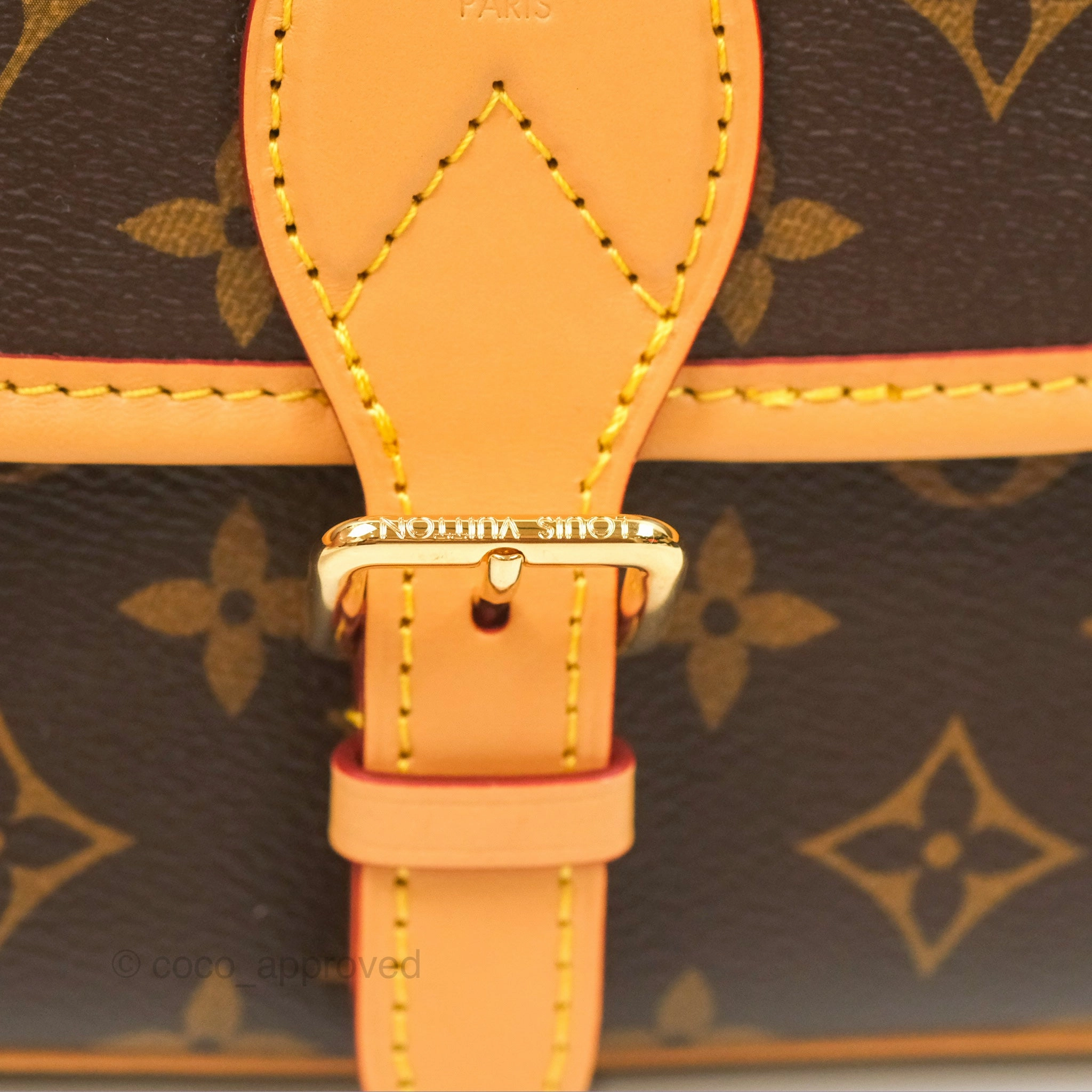 Louis Vuitton Diane Bag Monogram Canvas with Jacquard Strap