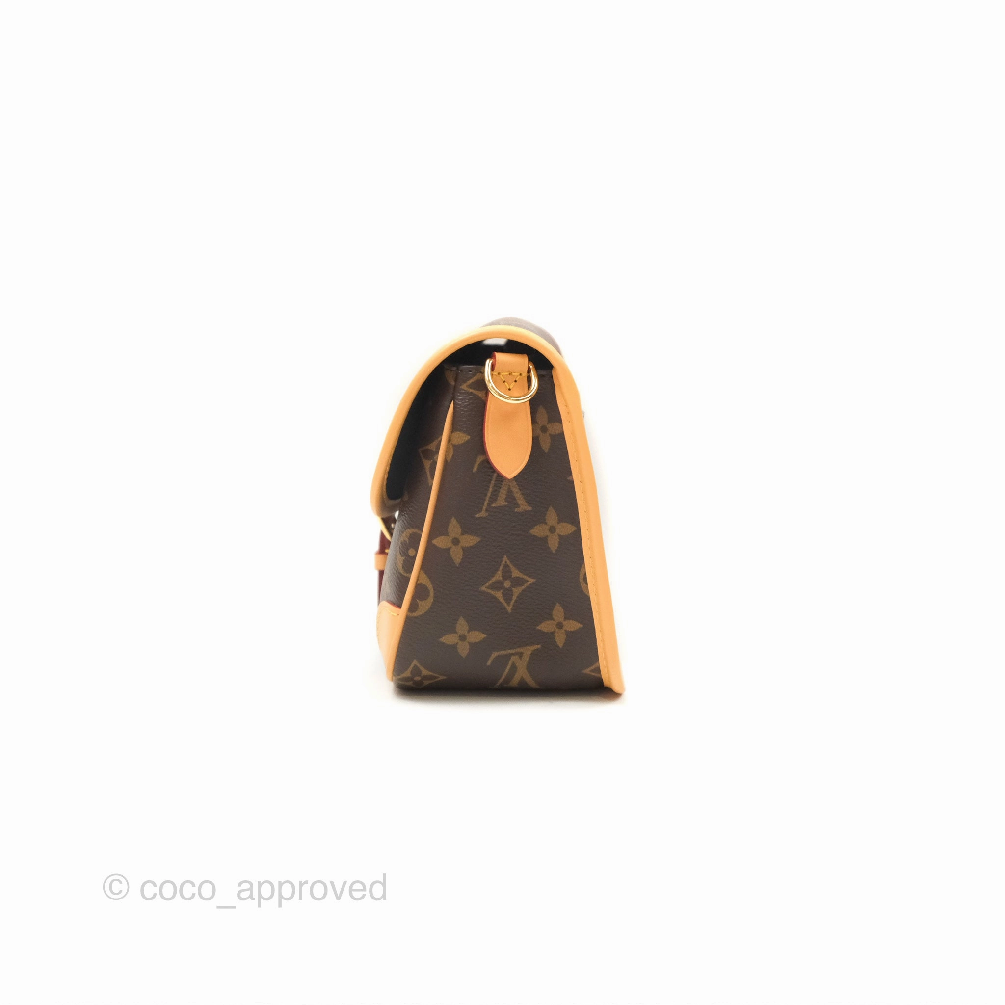 Louis Vuitton Diane Bag Monogram Canvas with Jacquard Strap