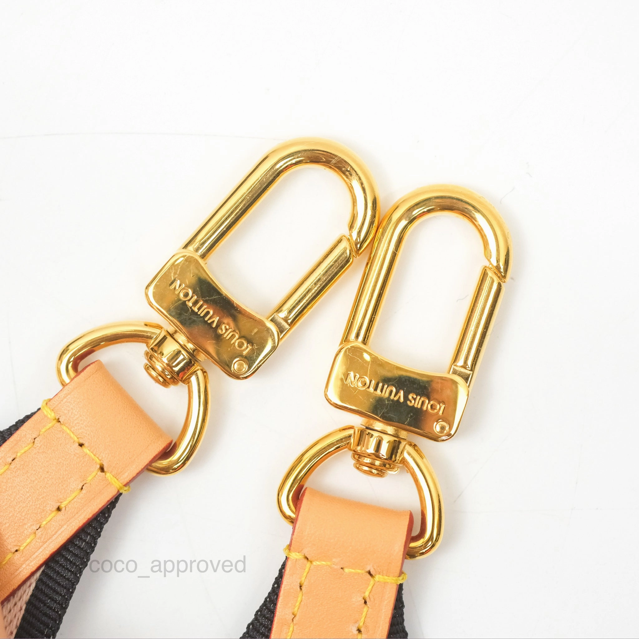 Louis Vuitton Diane Bag Monogram Canvas with Jacquard Strap
