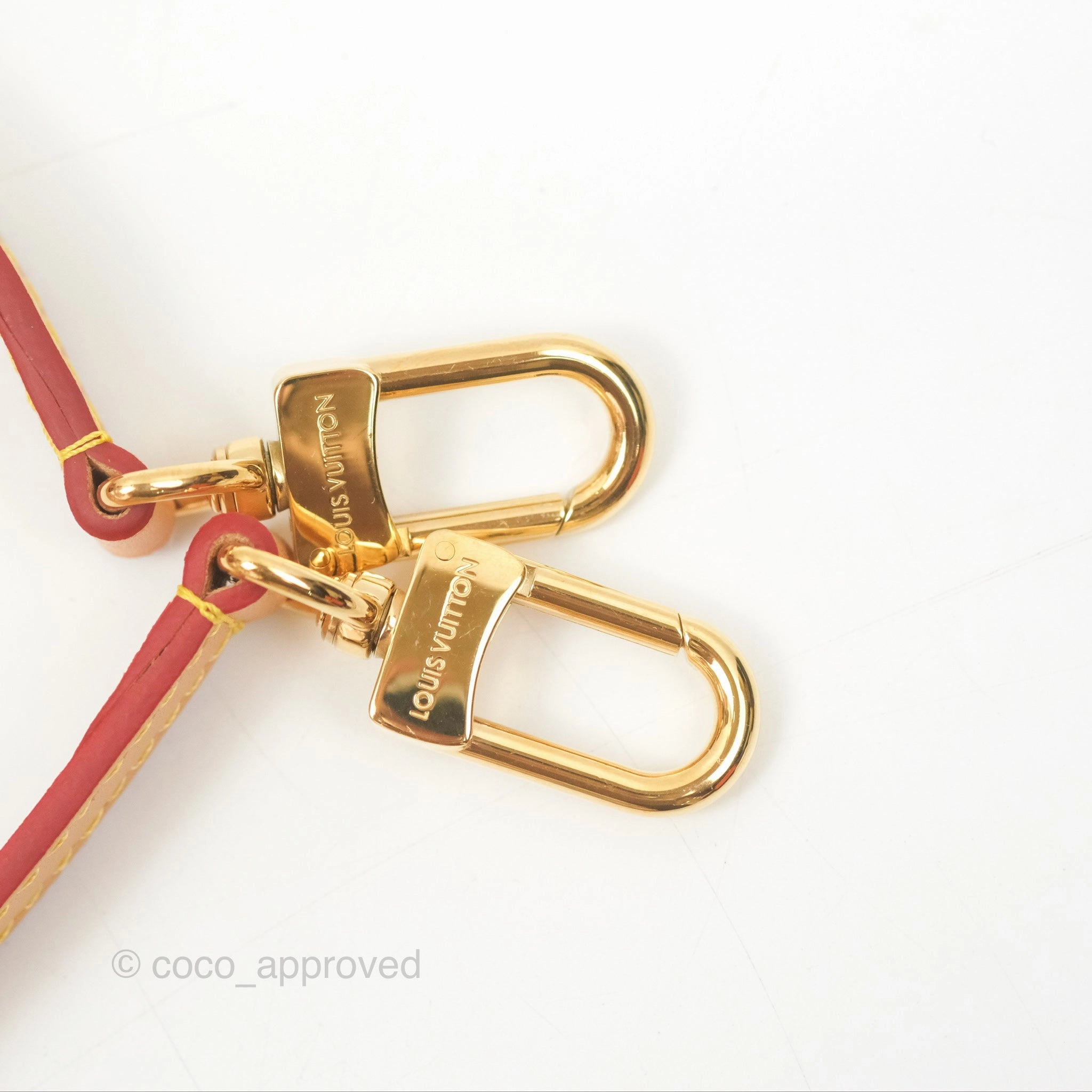 Louis Vuitton Diane Bag Monogram Canvas with Jacquard Strap