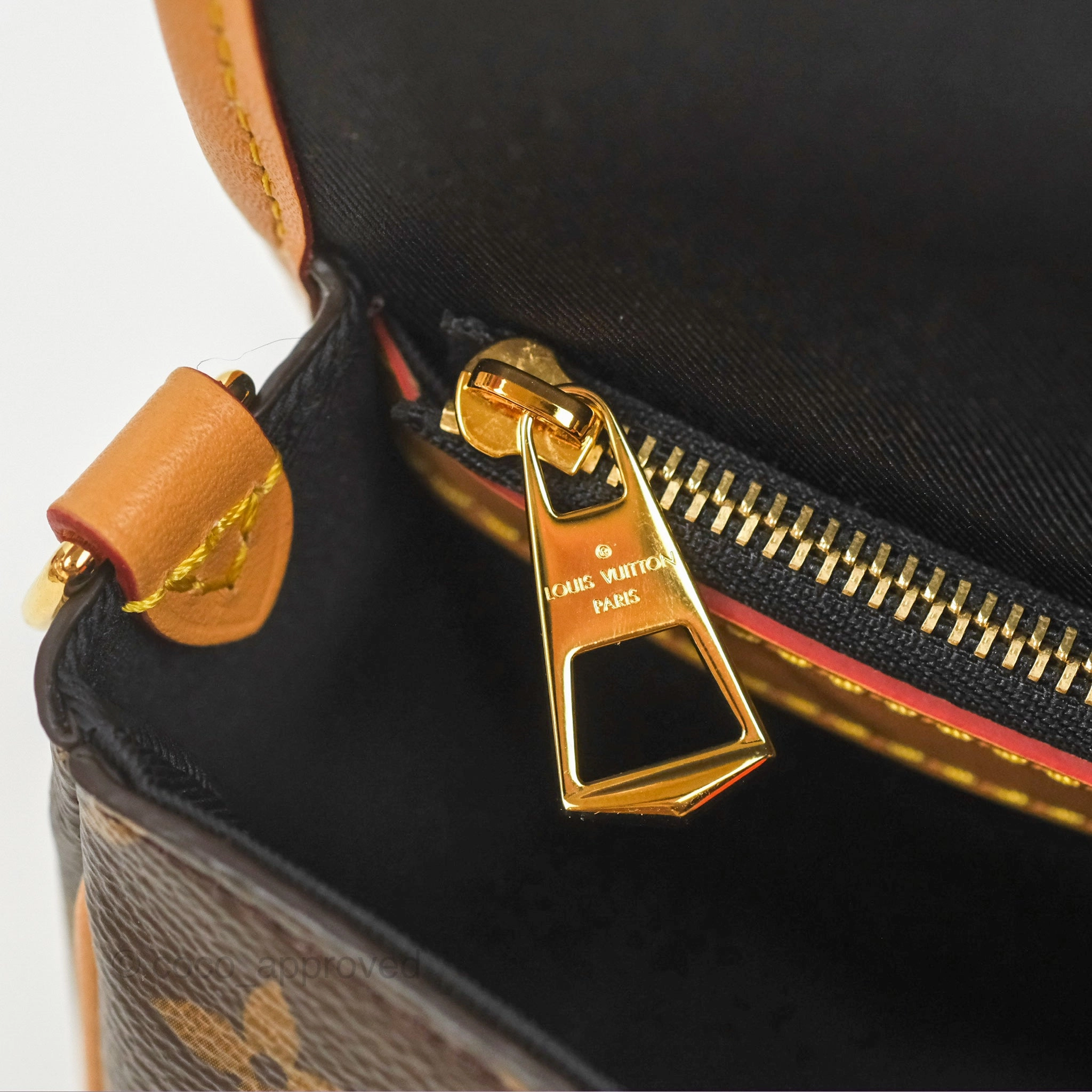 Louis Vuitton Diane Bag Monogram Canvas with Jacquard Strap