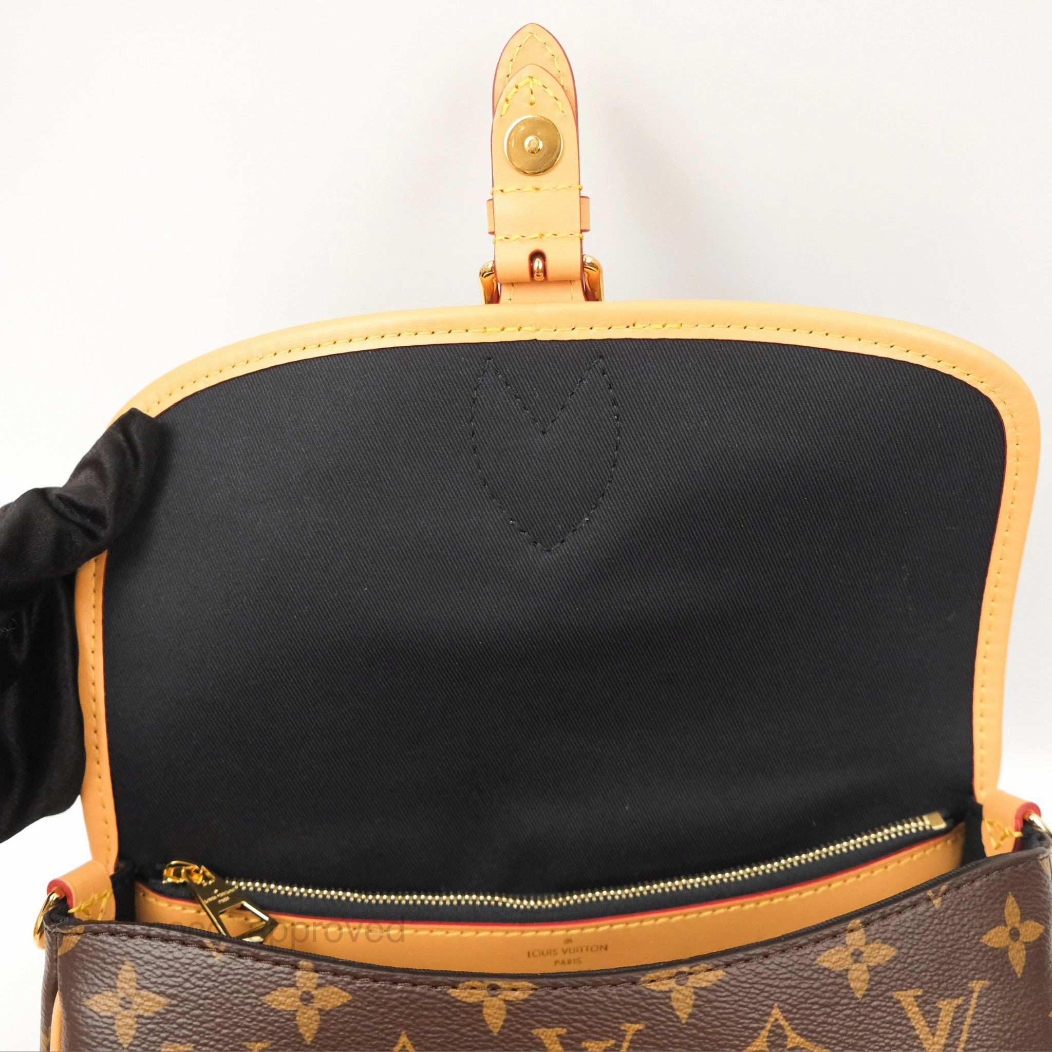 Louis Vuitton Diane Bag Monogram Canvas with Jacquard Strap