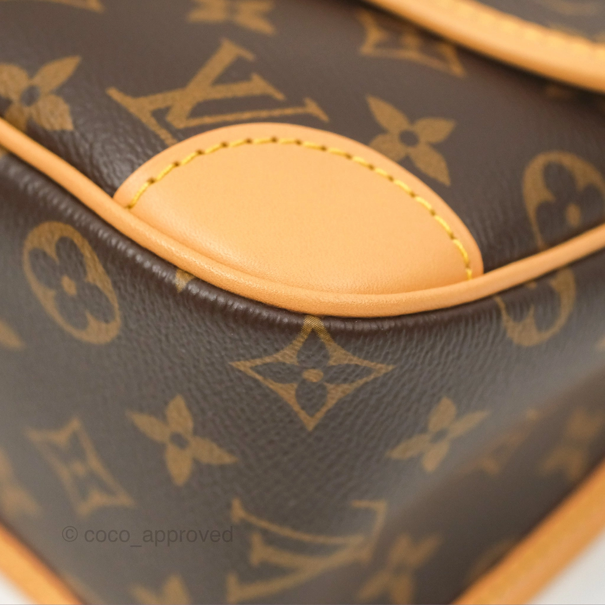 Louis Vuitton Diane Bag Monogram Canvas with Jacquard Strap