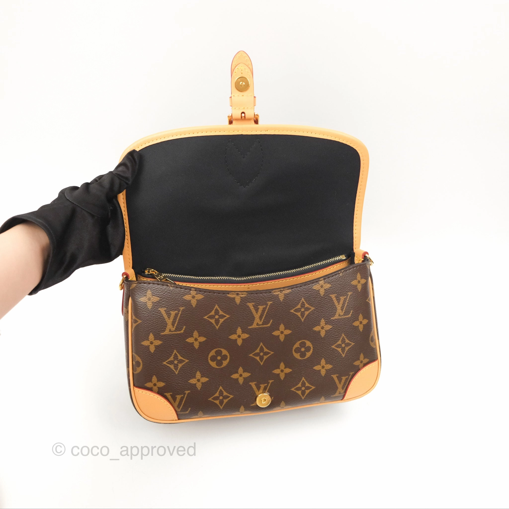 Louis Vuitton Diane Bag Monogram Canvas with Jacquard Strap