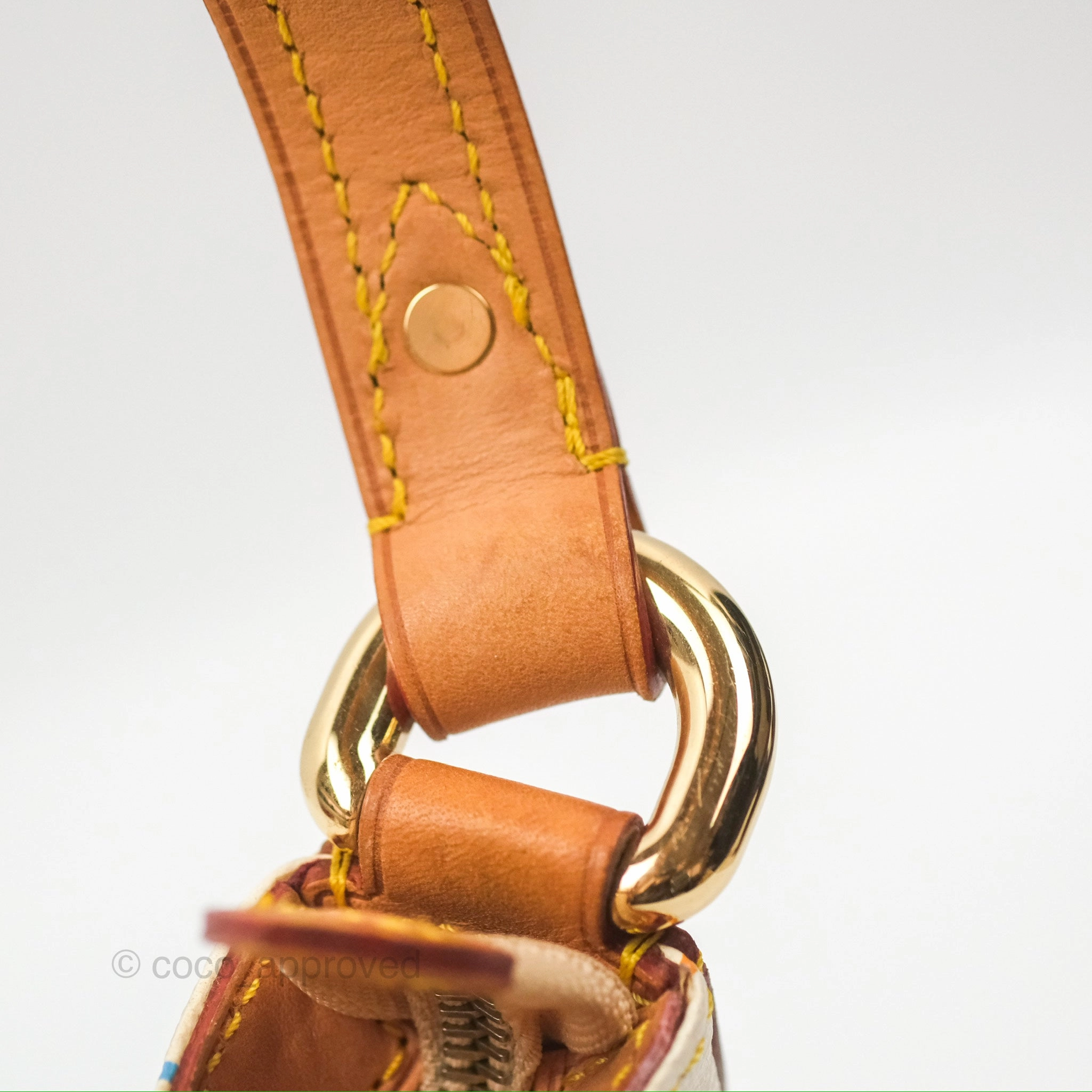 Louis Vuitton Eliza Handbag Monogram Multicolor Murakami