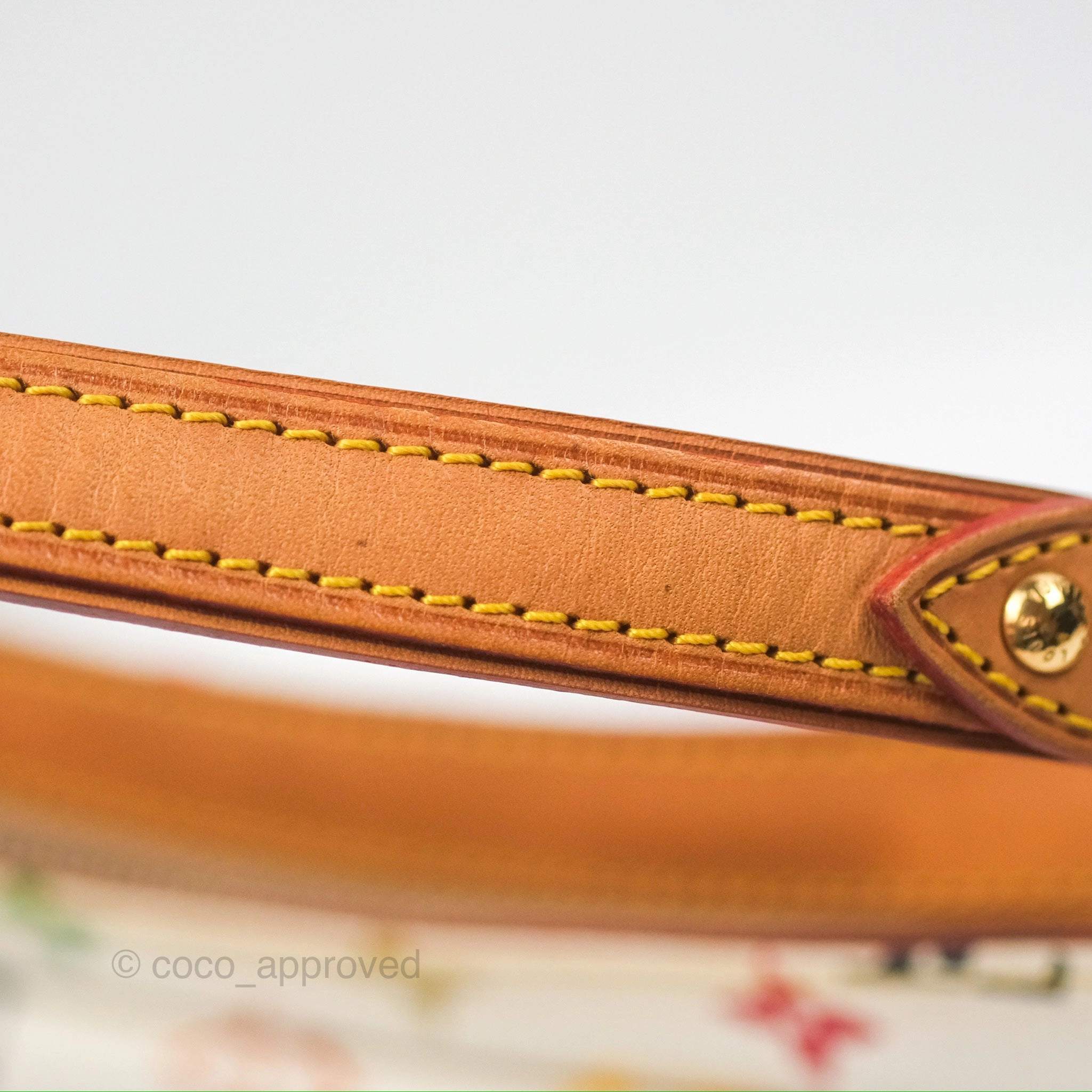 Louis Vuitton Eliza Handbag Monogram Multicolor Murakami