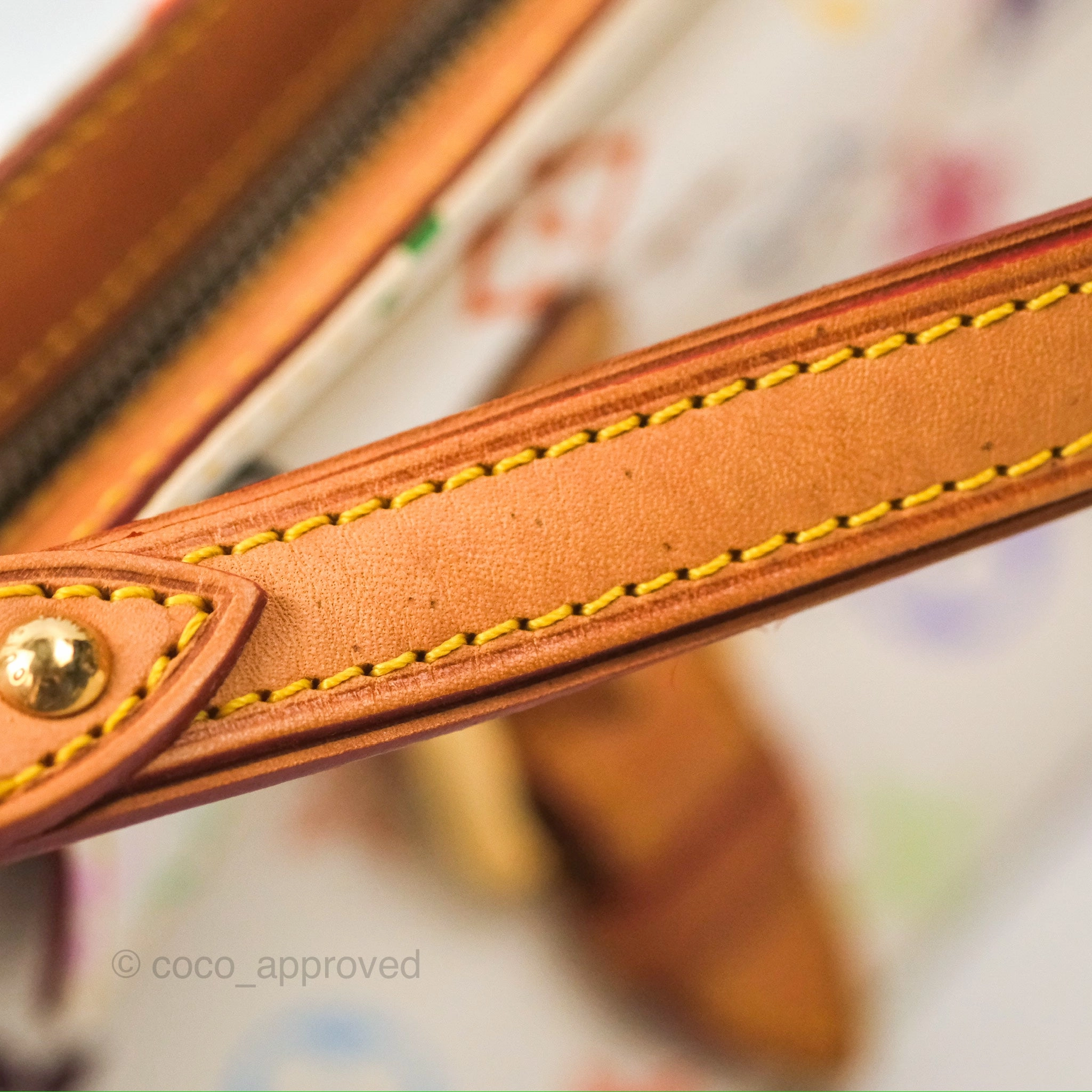 Louis Vuitton Eliza Handbag Monogram Multicolor Murakami