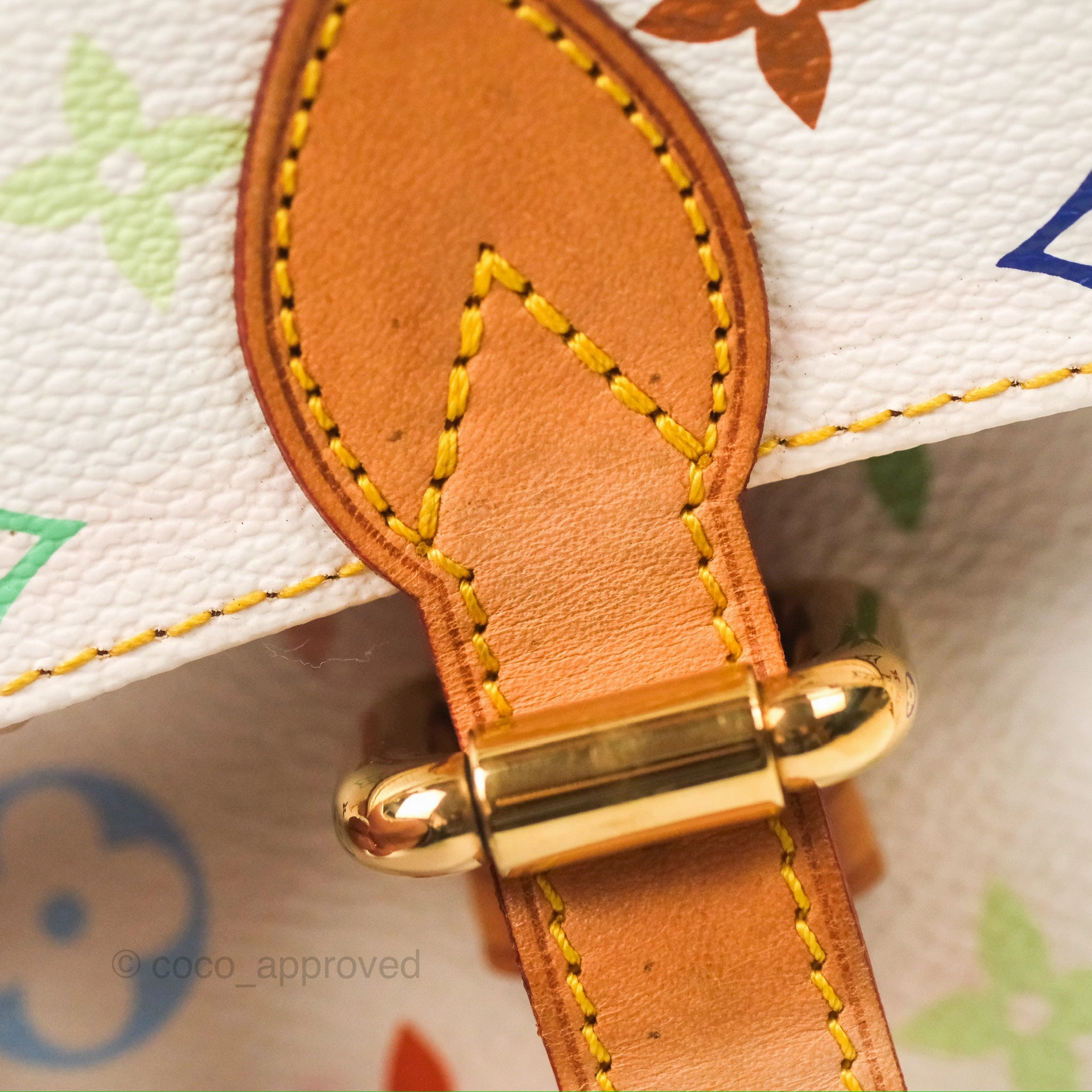 Louis Vuitton Eliza Handbag Monogram Multicolor Murakami