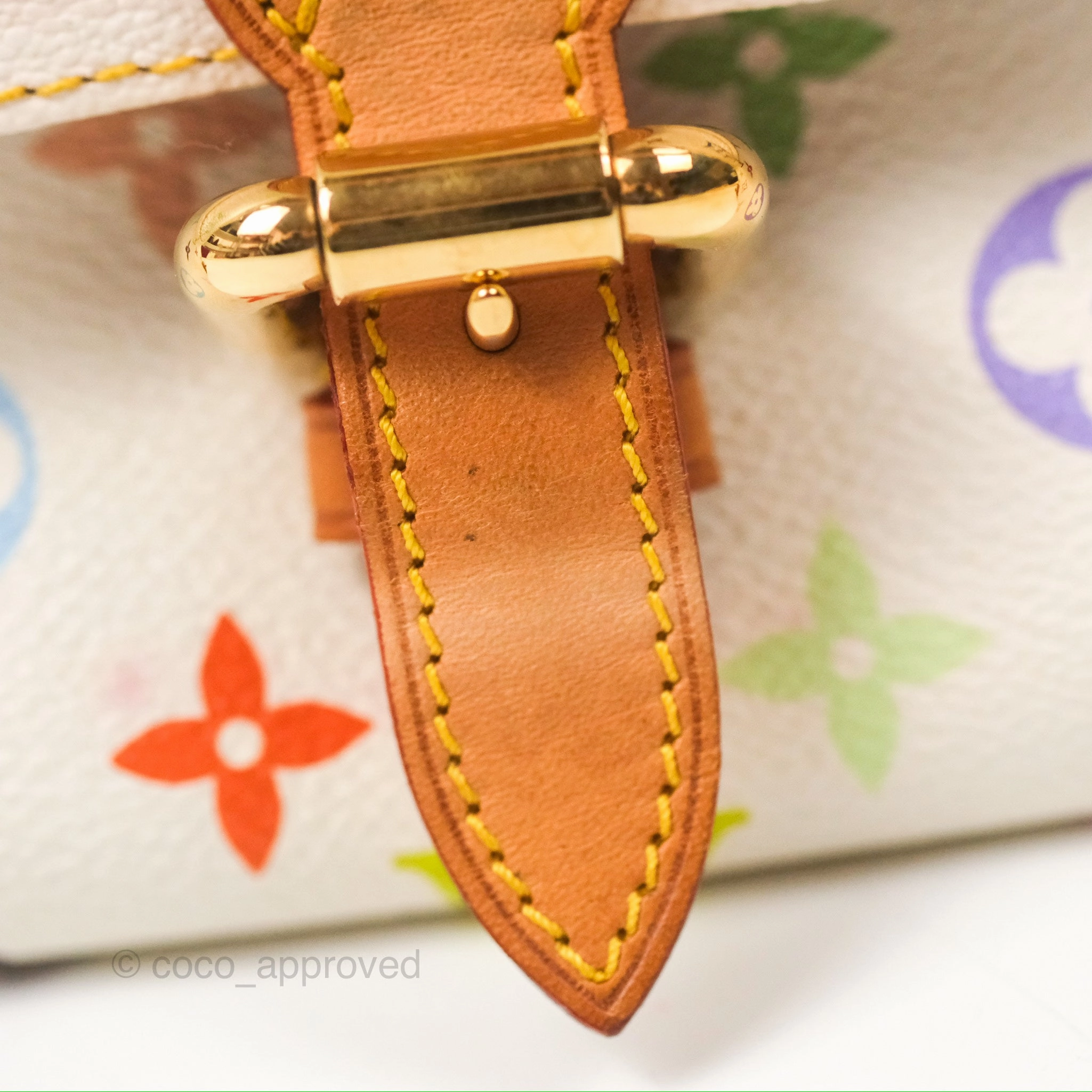 Louis Vuitton Eliza Handbag Monogram Multicolor Murakami