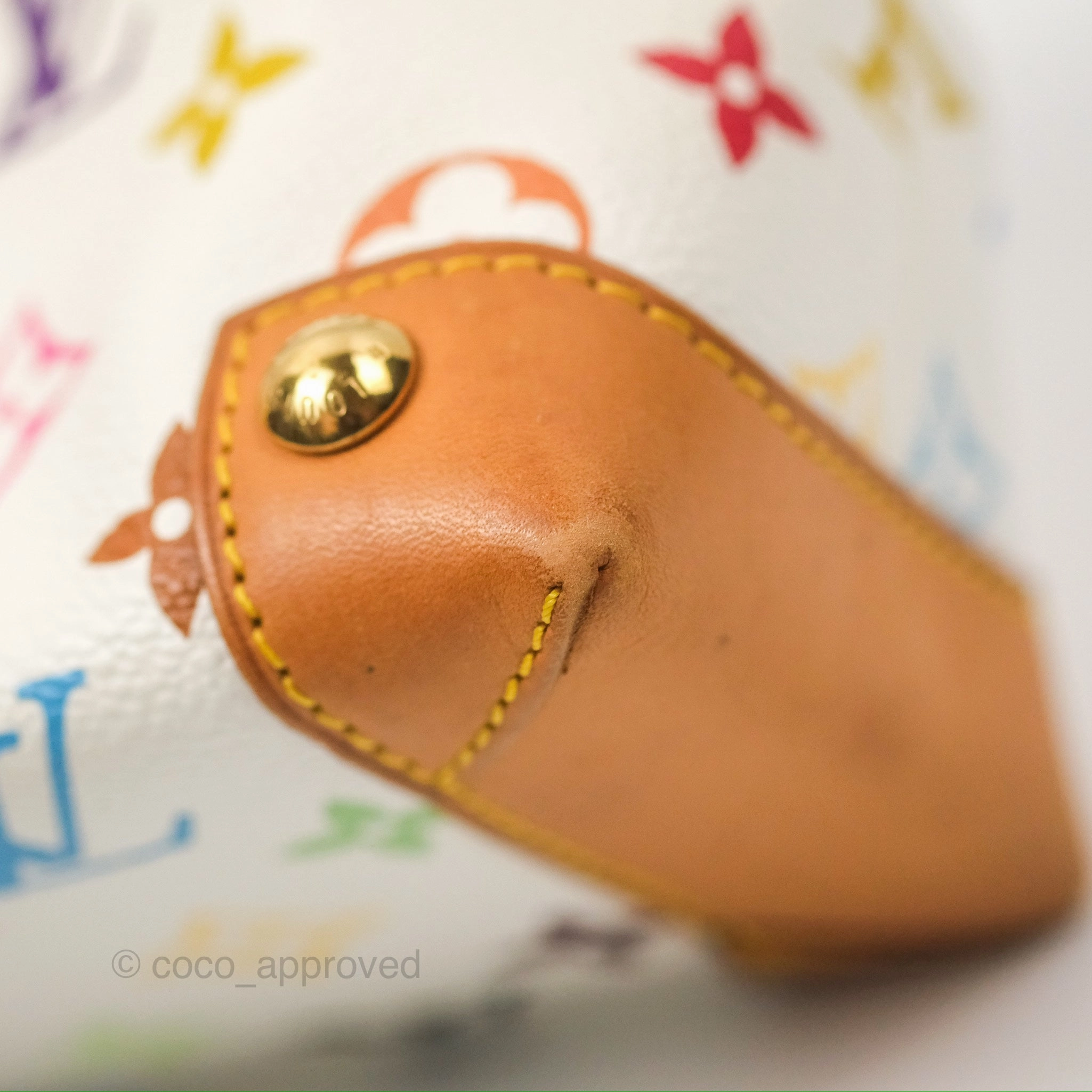 Louis Vuitton Eliza Handbag Monogram Multicolor Murakami