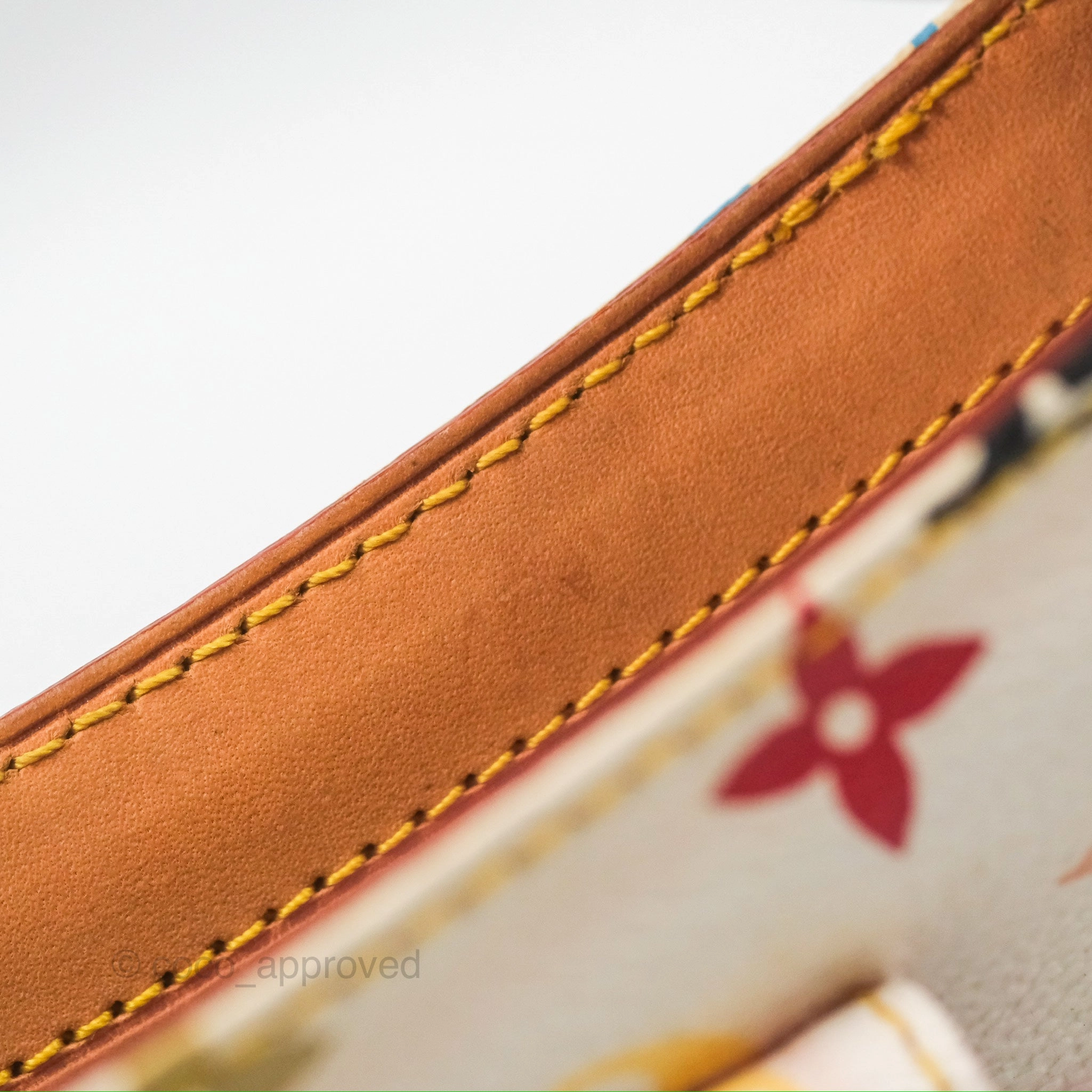 Louis Vuitton Eliza Handbag Monogram Multicolor Murakami