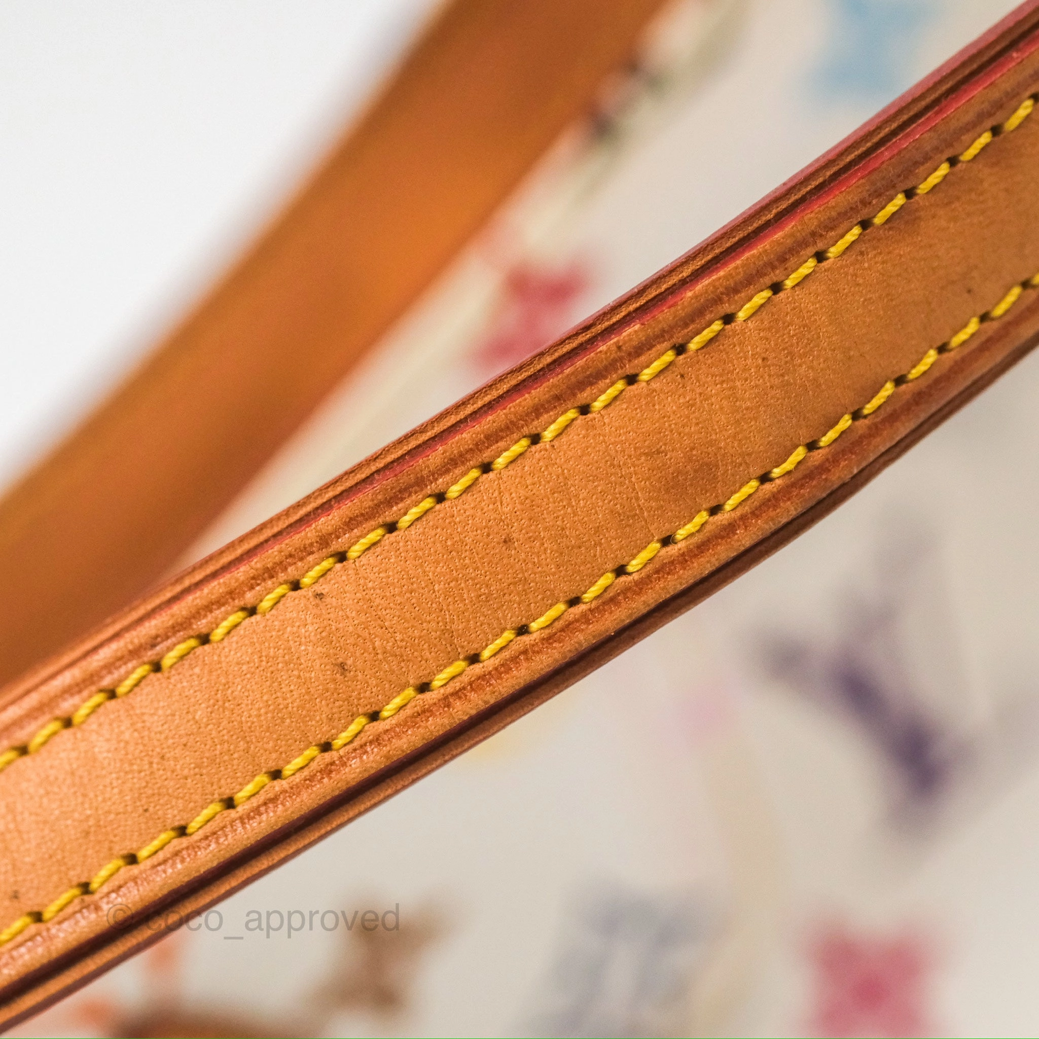 Louis Vuitton Eliza Handbag Monogram Multicolor Murakami