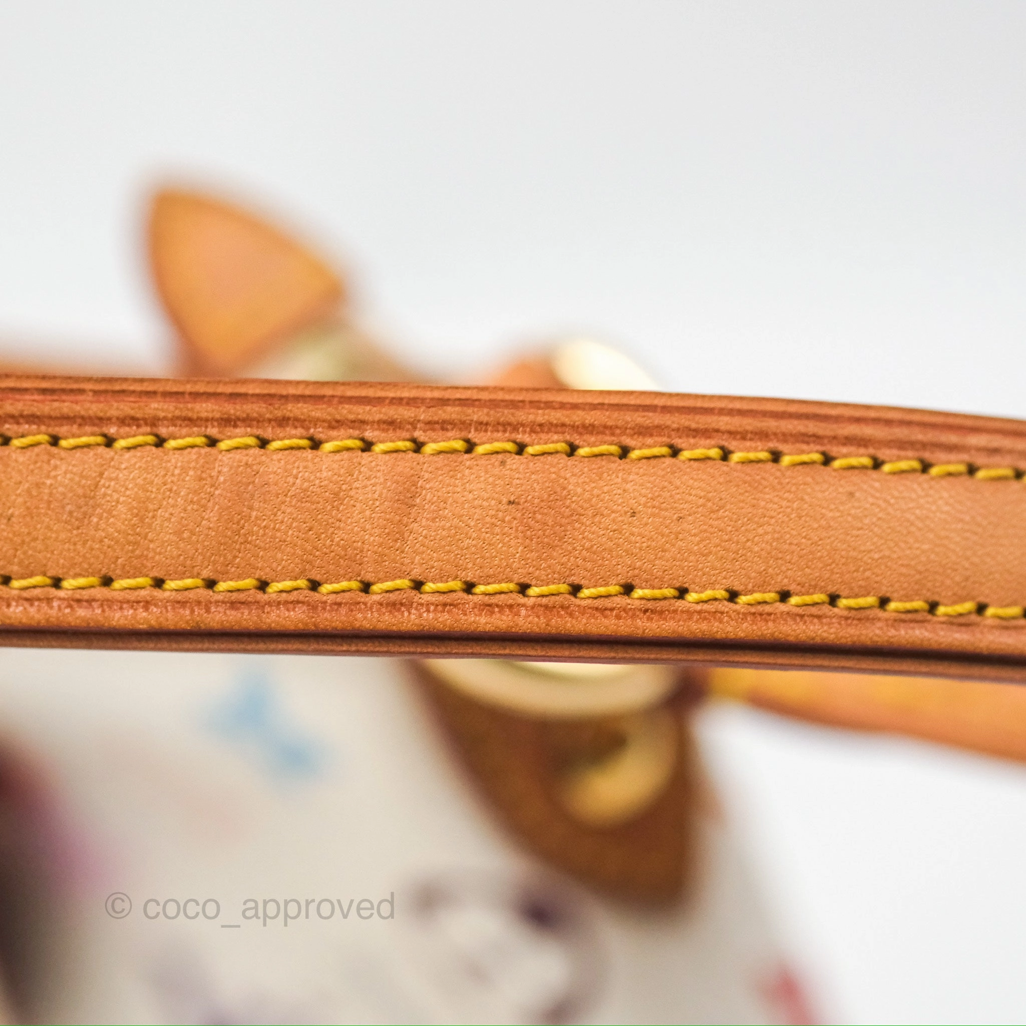 Louis Vuitton Eliza Handbag Monogram Multicolor Murakami