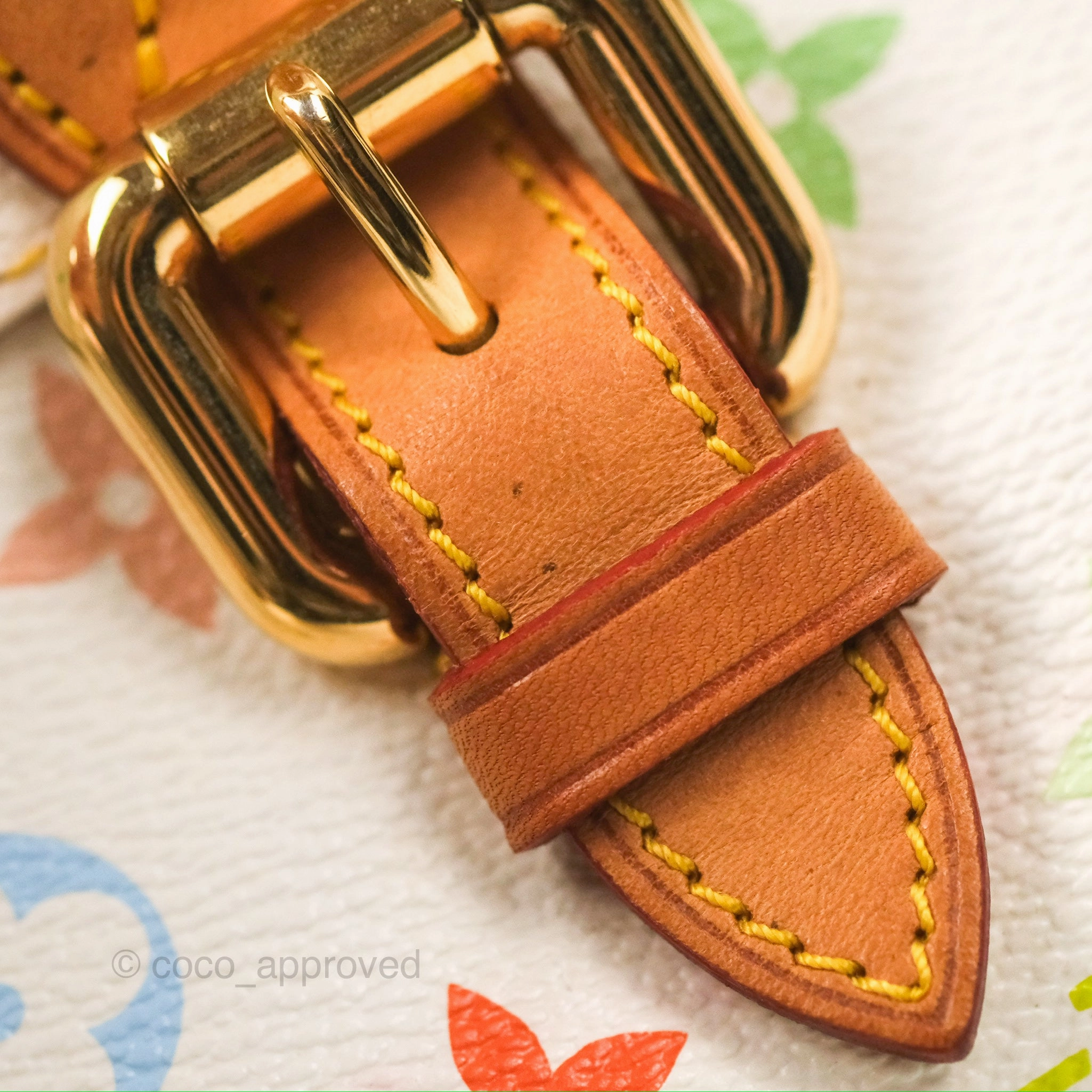 Louis Vuitton Eliza Handbag Monogram Multicolor Murakami