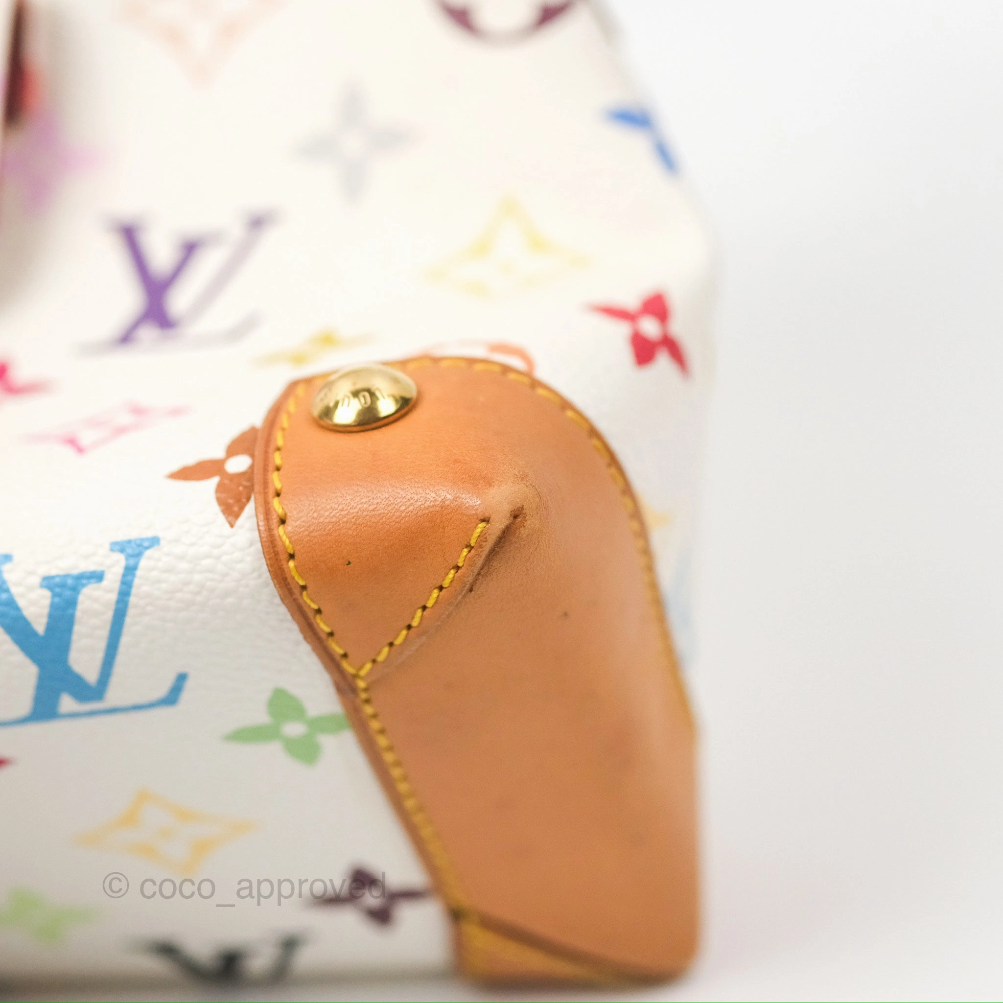 Louis Vuitton Eliza Handbag Monogram Multicolor Murakami