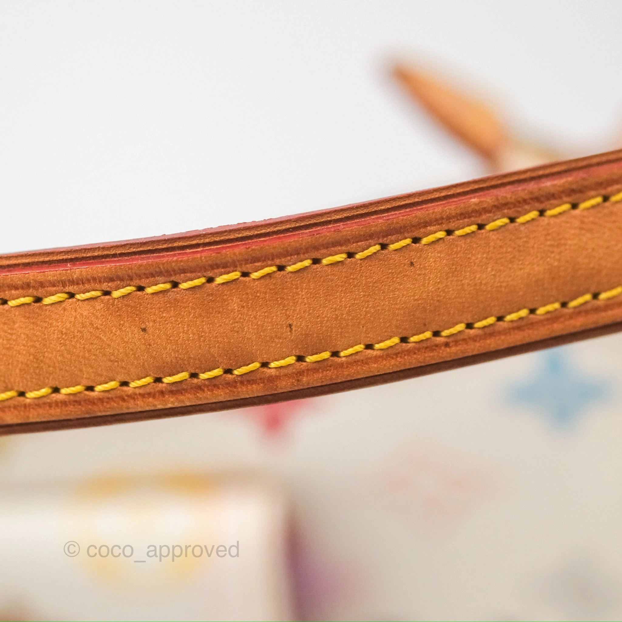 Louis Vuitton Eliza Handbag Monogram Multicolor Murakami