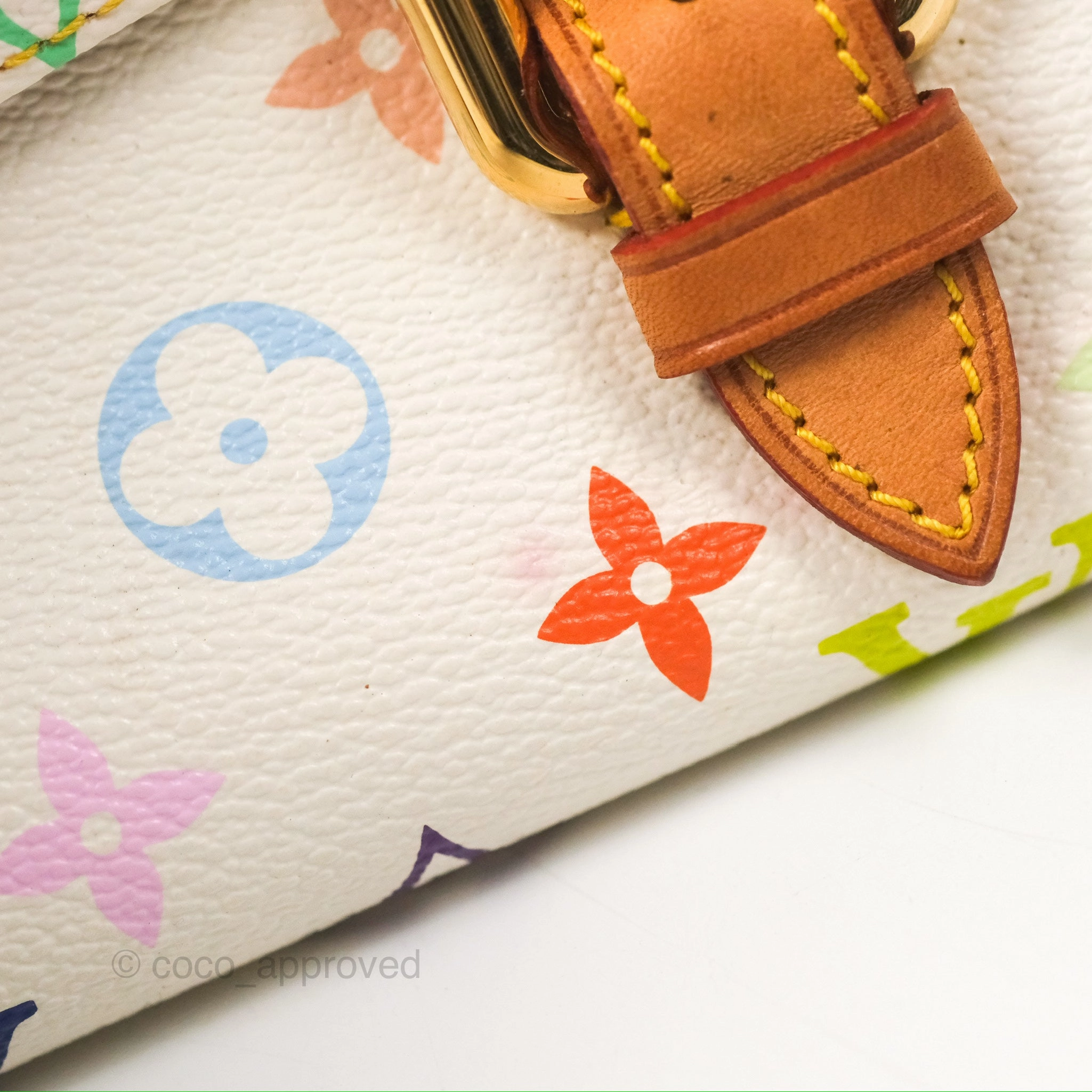 Louis Vuitton Eliza Handbag Monogram Multicolor Murakami