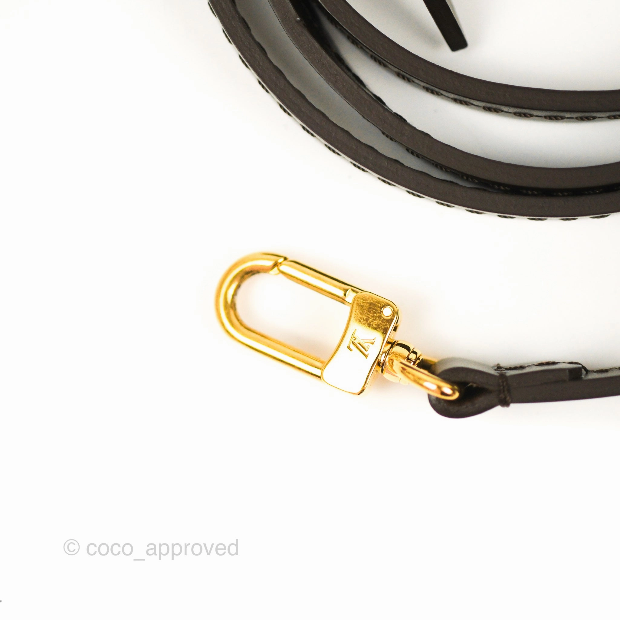 Louis Vuitton Favourite MM Flap Bag Damier Ebene