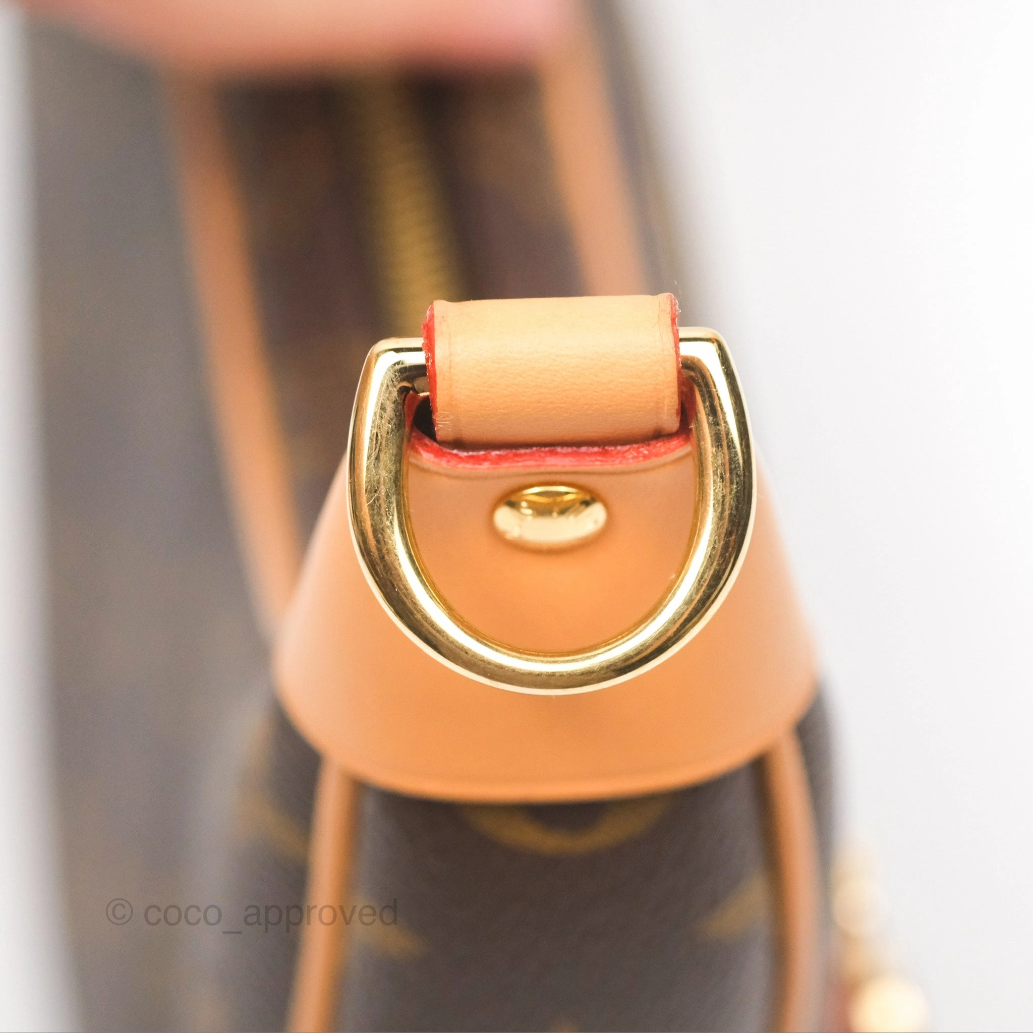 Louis Vuitton Loop Monogram Canvas