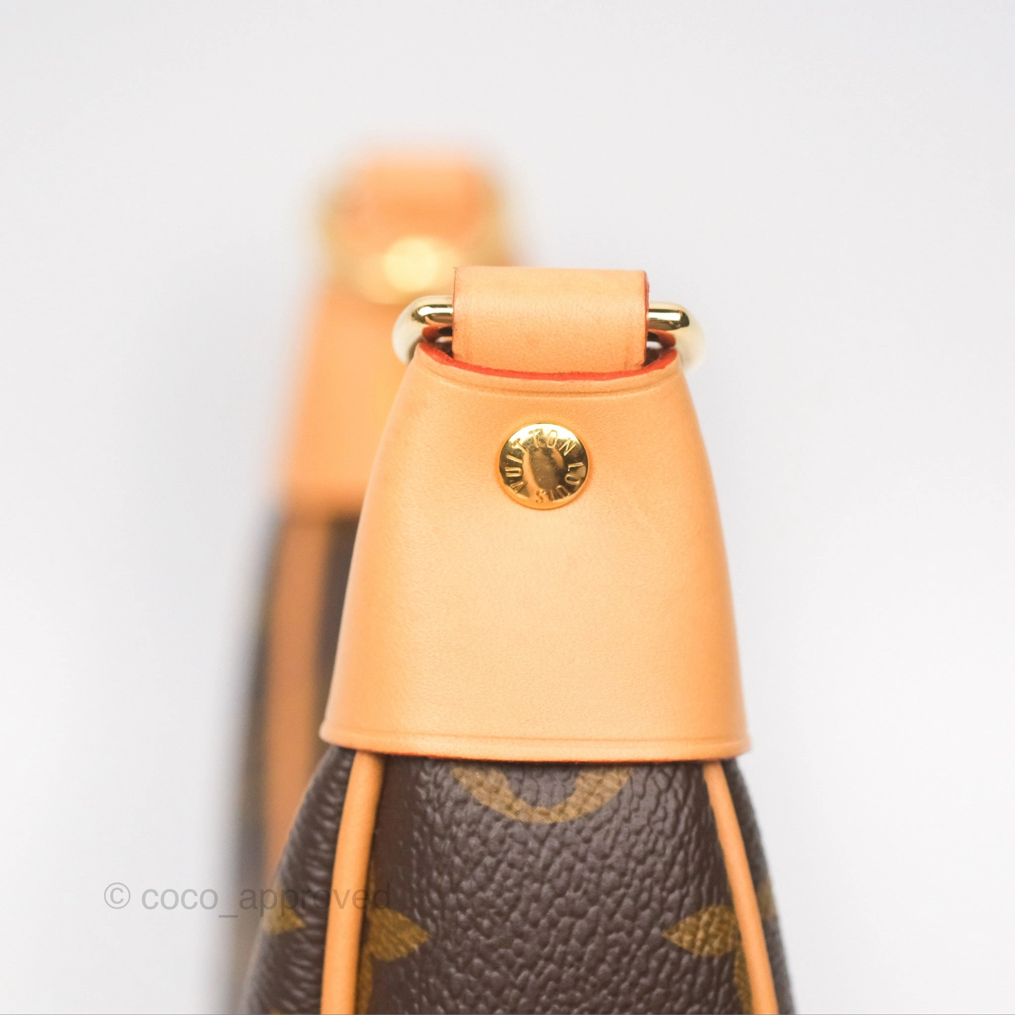 Louis Vuitton Loop Monogram Canvas