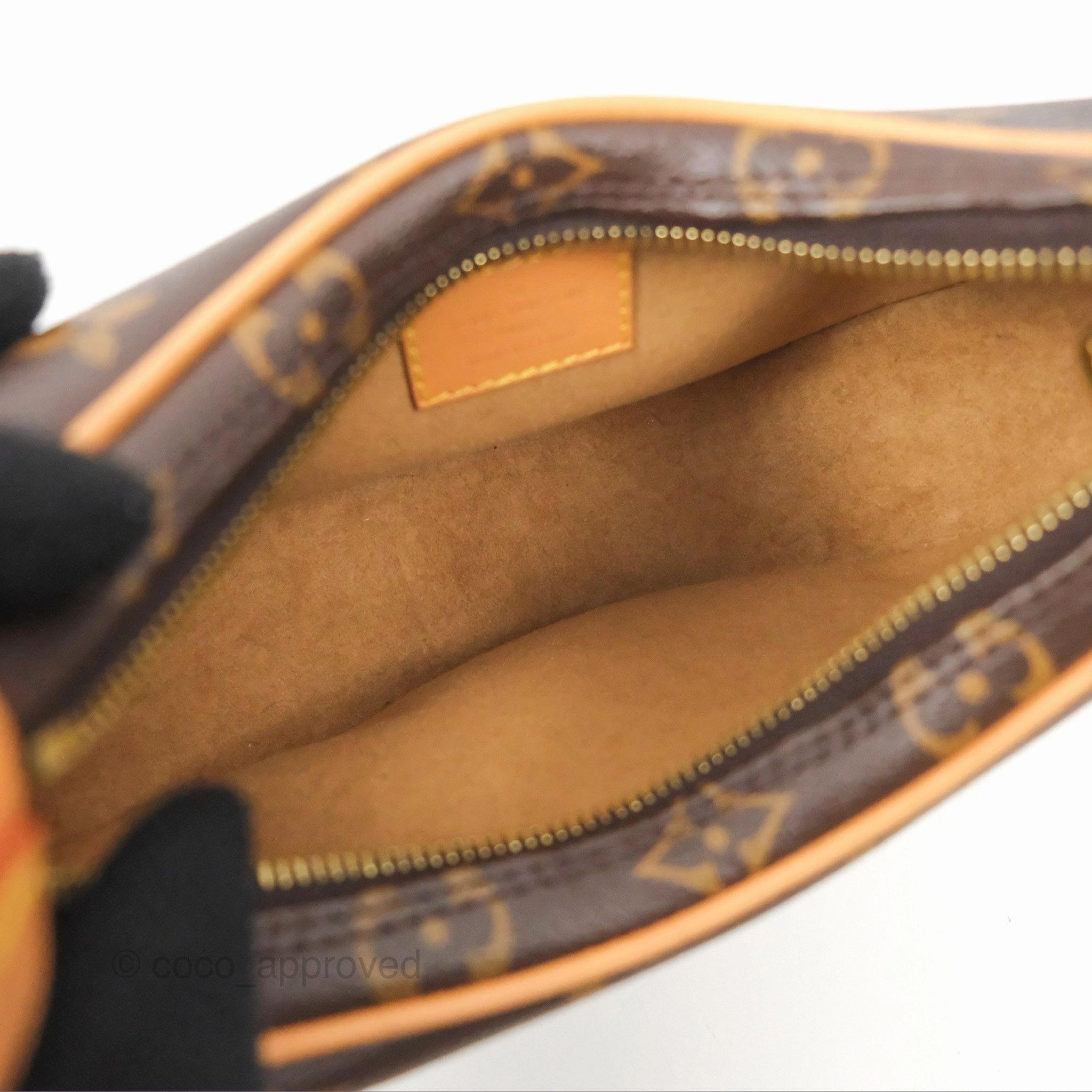 Louis Vuitton Loop Monogram Canvas