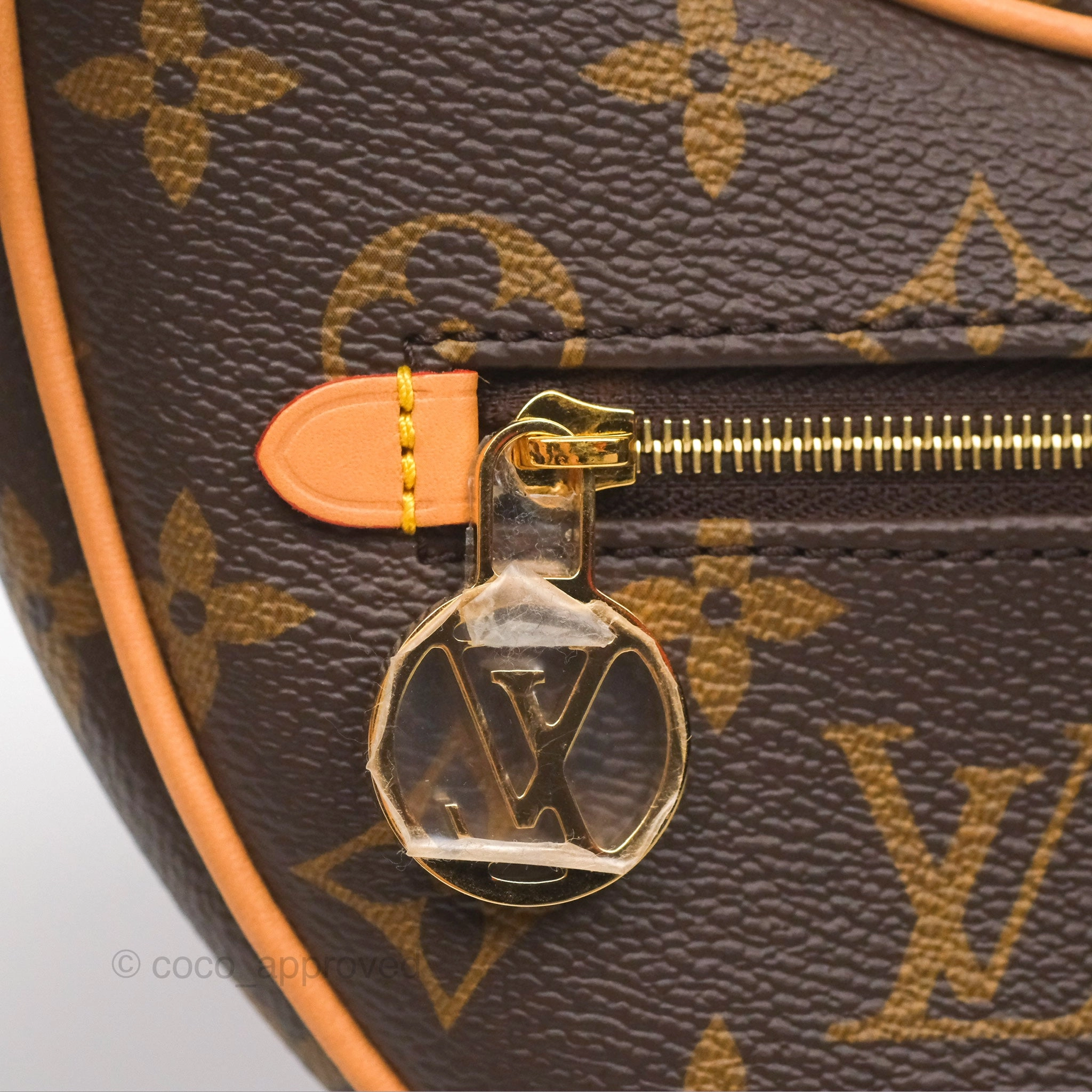 Louis Vuitton Loop Monogram Canvas