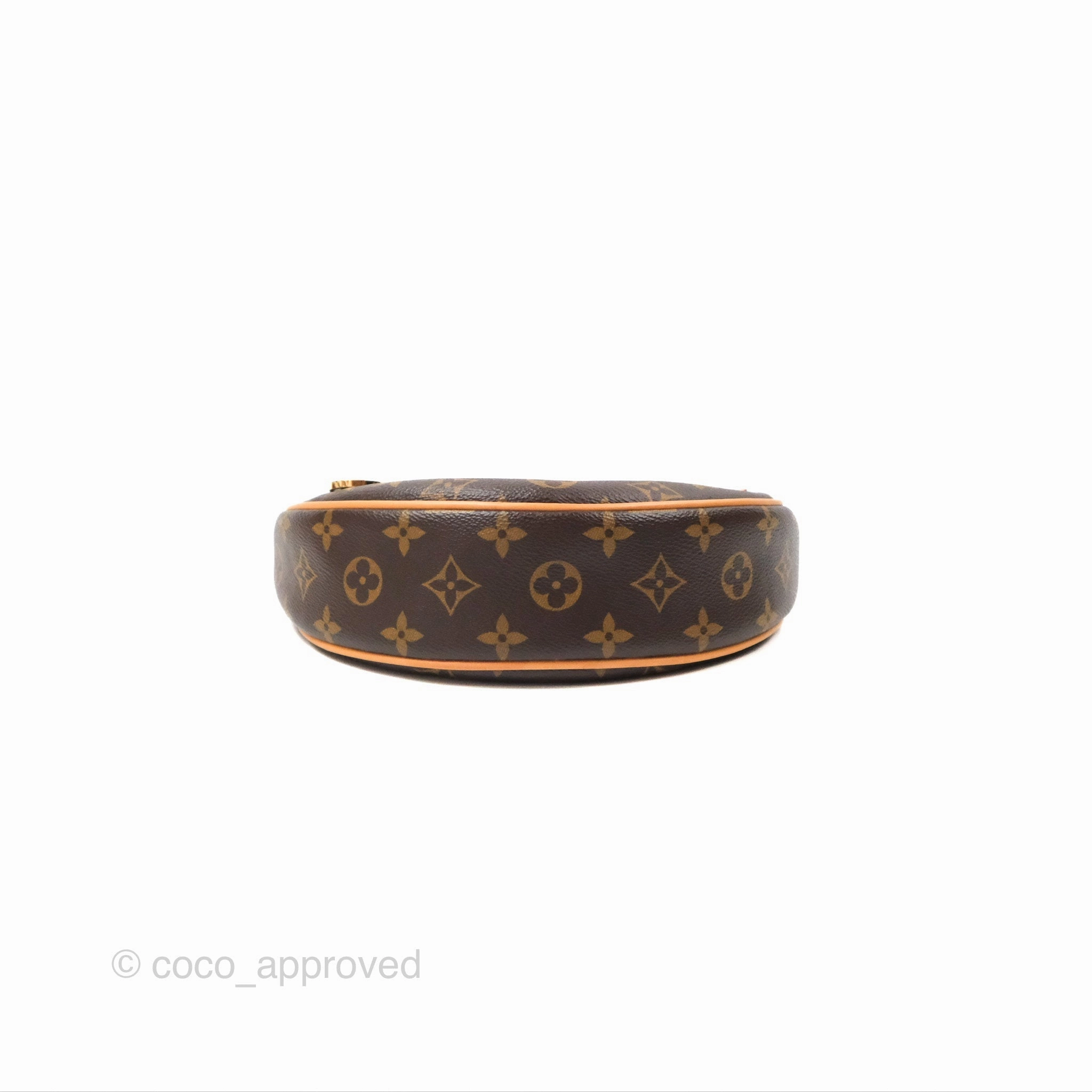 Louis Vuitton Loop Monogram Canvas