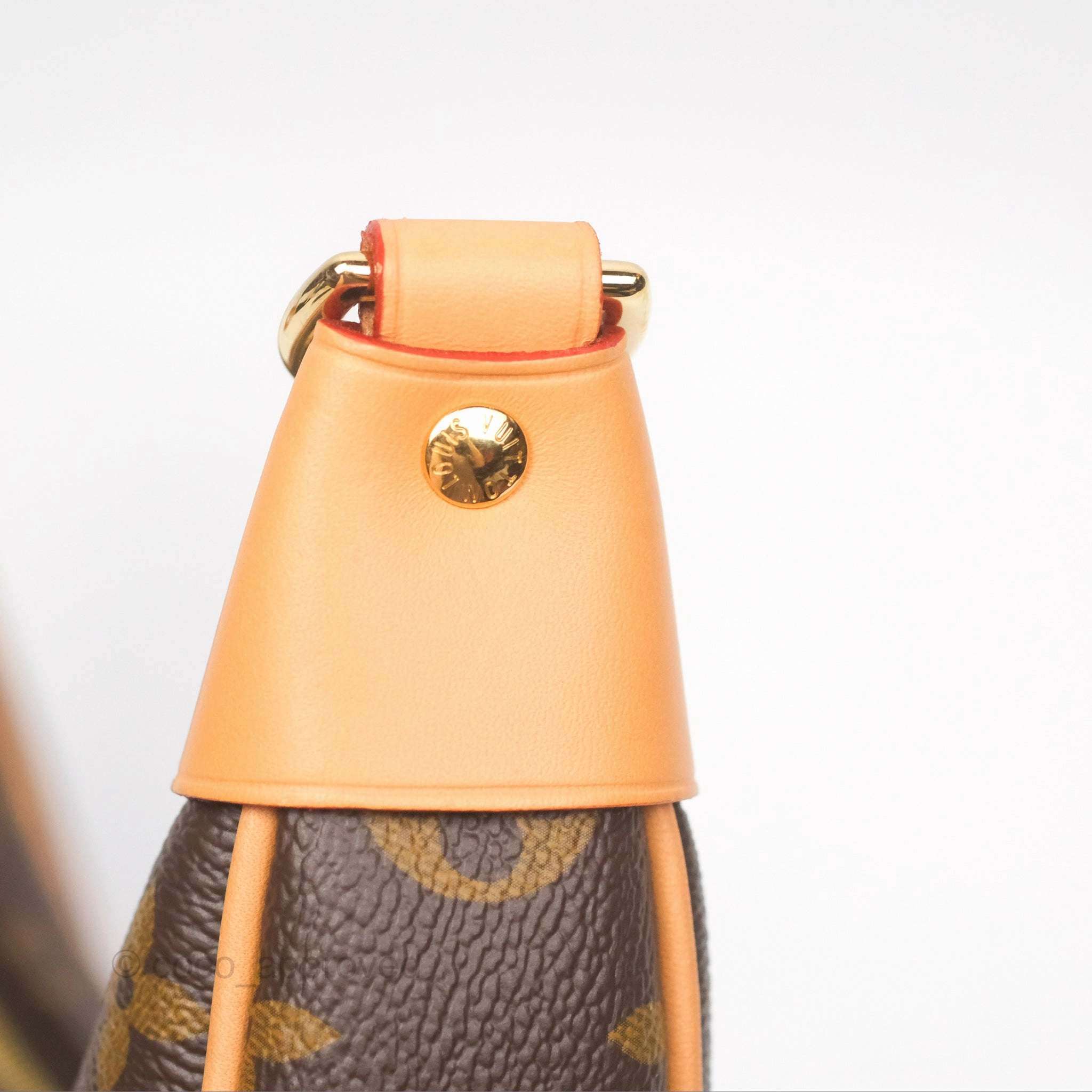 Louis Vuitton Loop Monogram Canvas