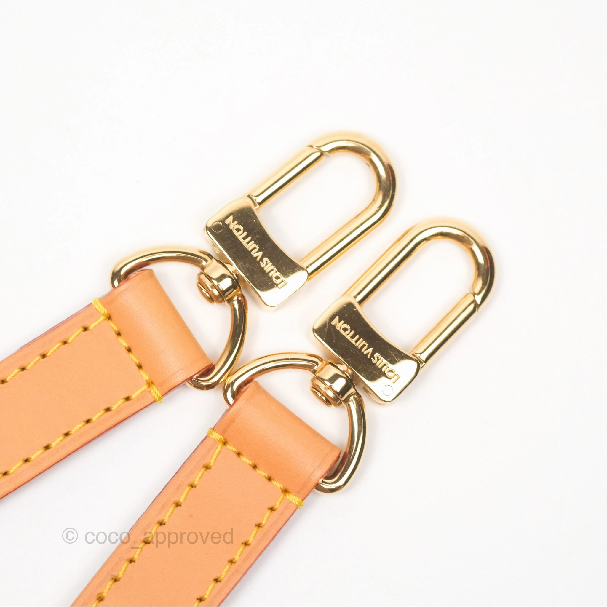 Louis Vuitton Loop Monogram Canvas